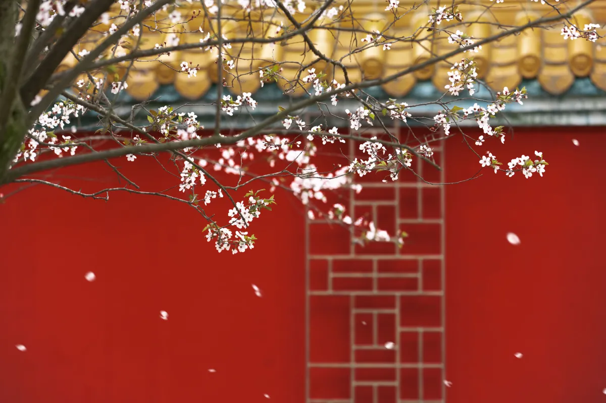 春风慢