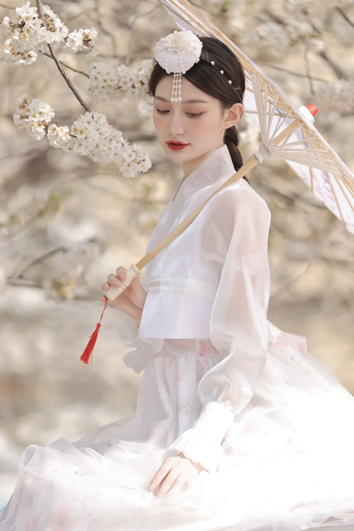 樱花树下的约定
