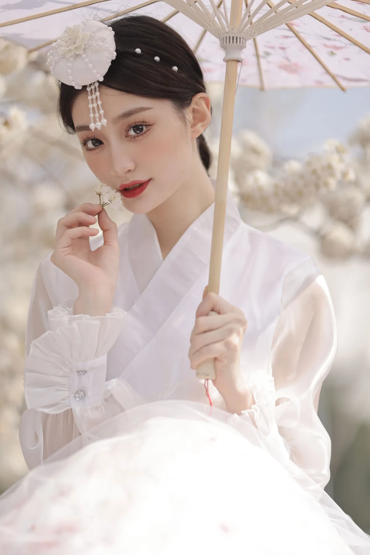 樱花树下的约定