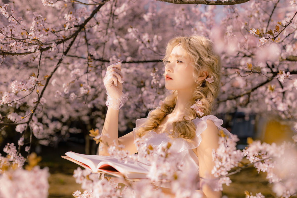 青陵_羔丽代《樱花树下的春意》美图作品图片3