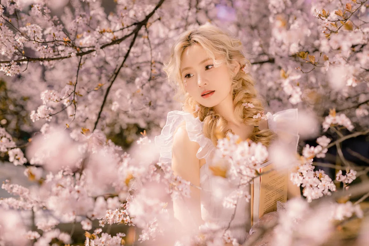 樱花树下的春意