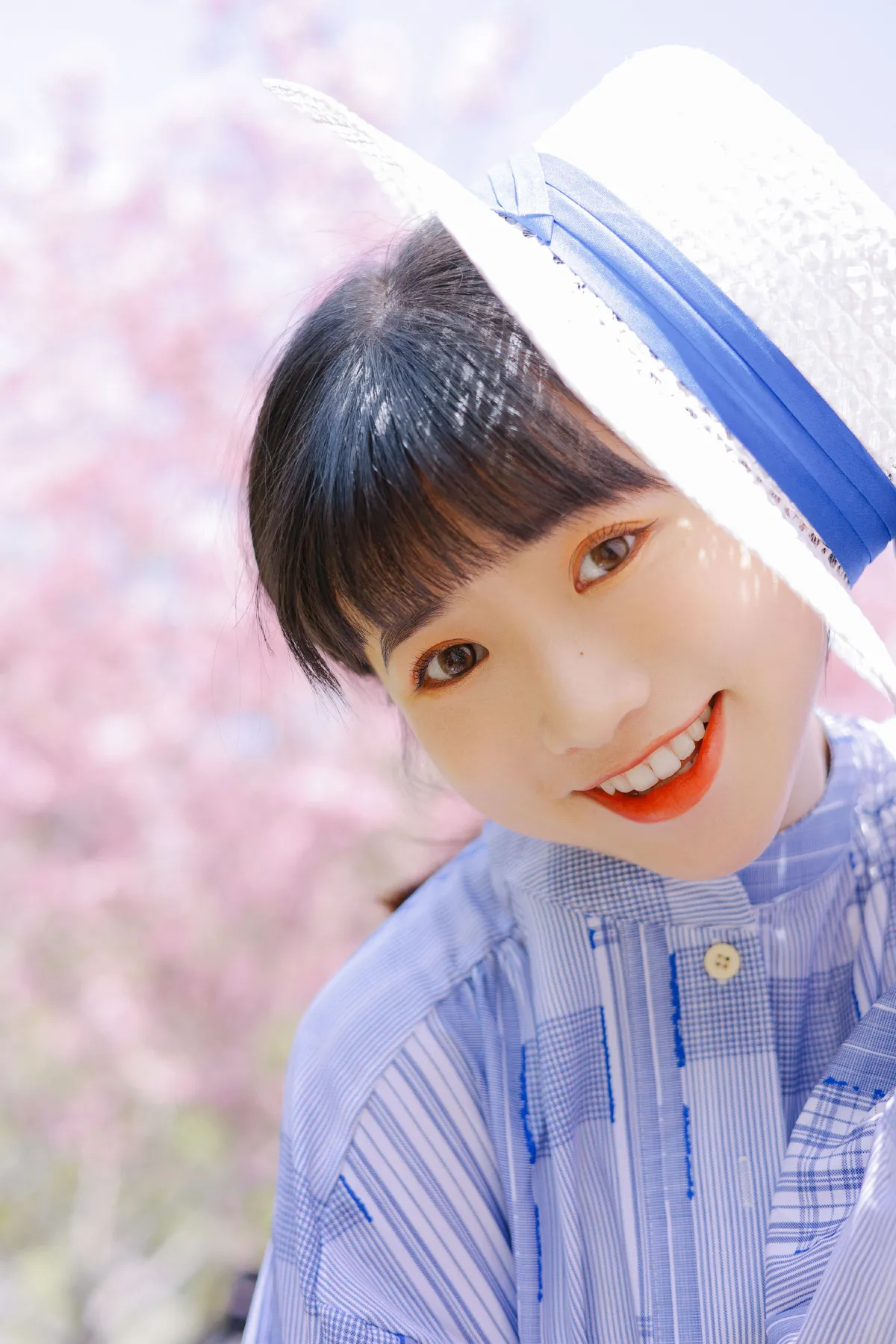 海棠花开2