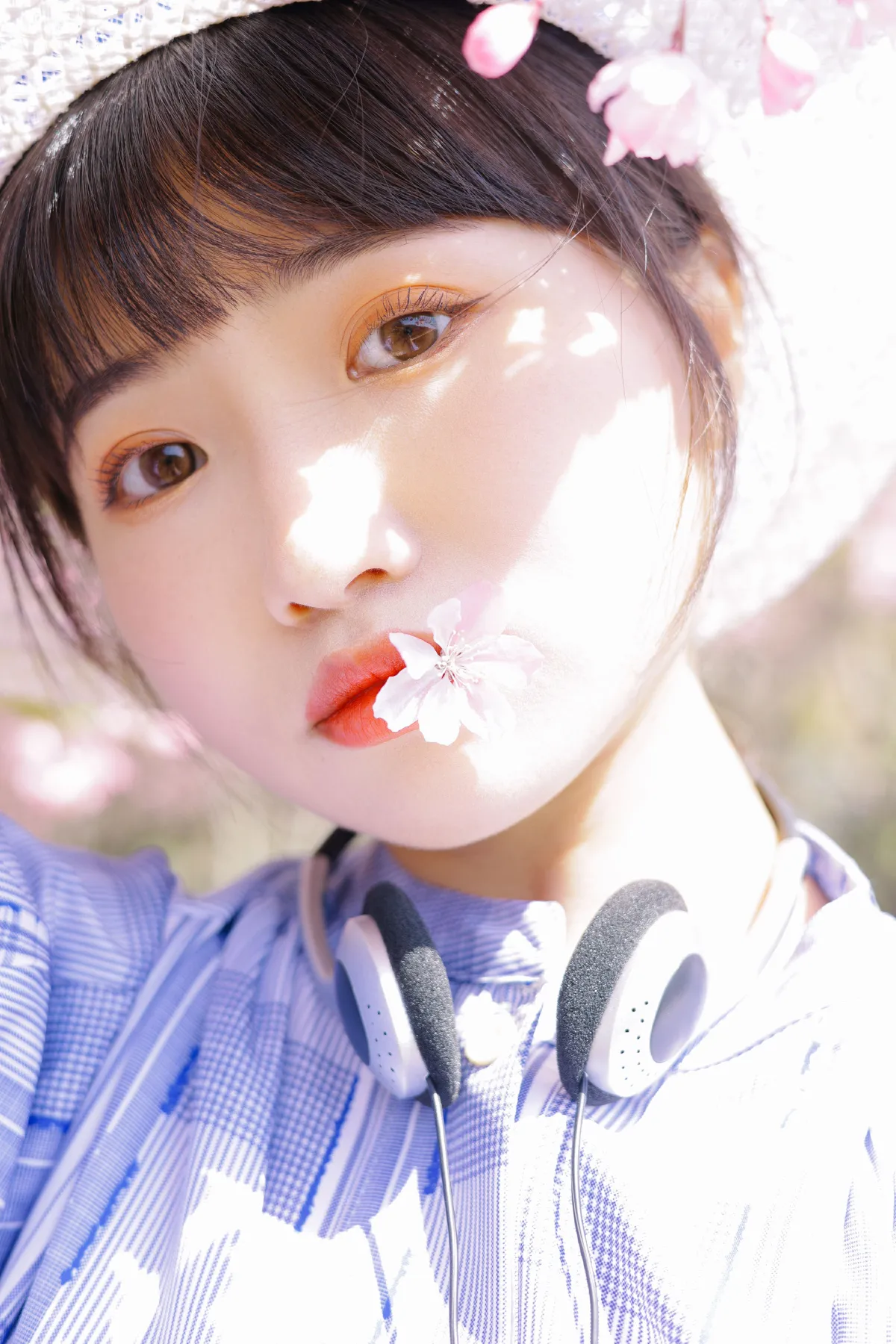 海棠花开4