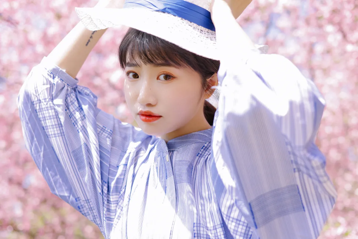 海棠花开3