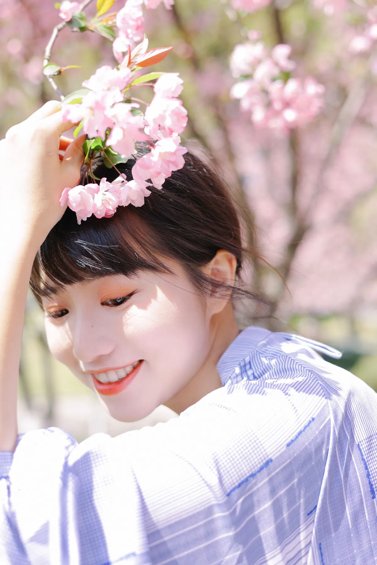 海棠花开5