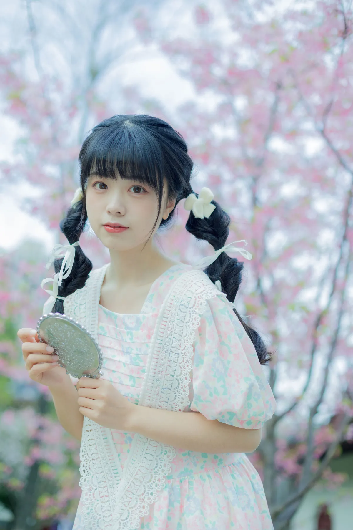 春日樱花记忆