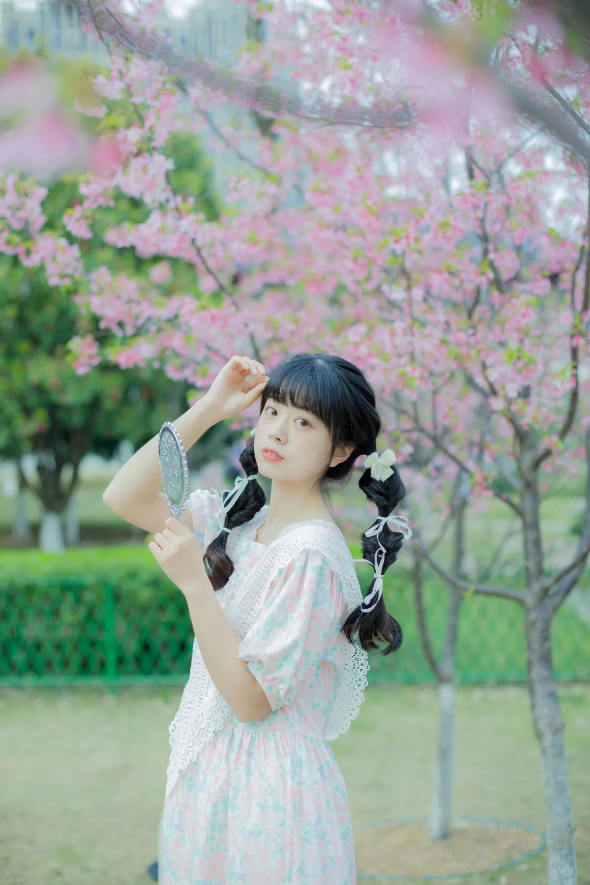 春日樱花记忆3