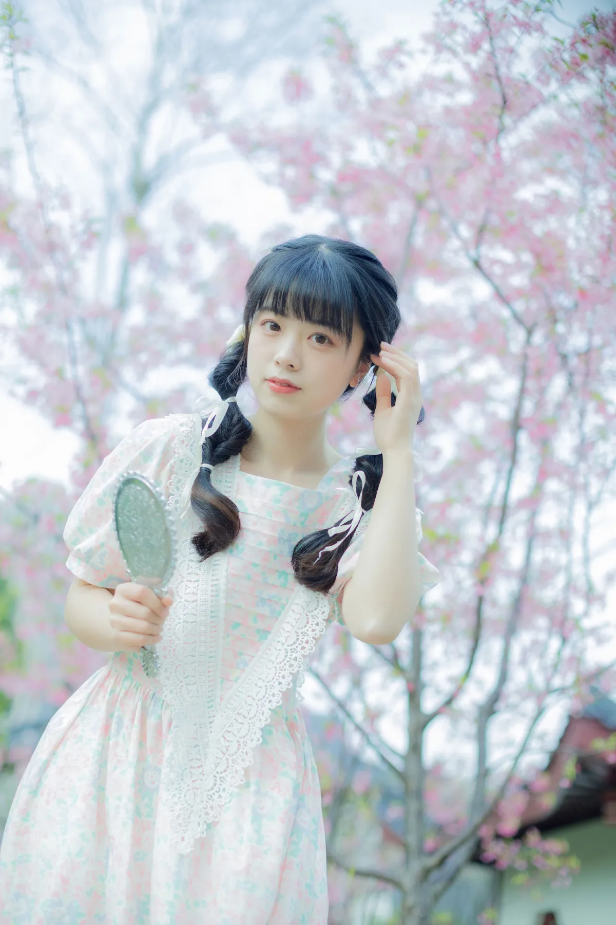 春日樱花记忆
