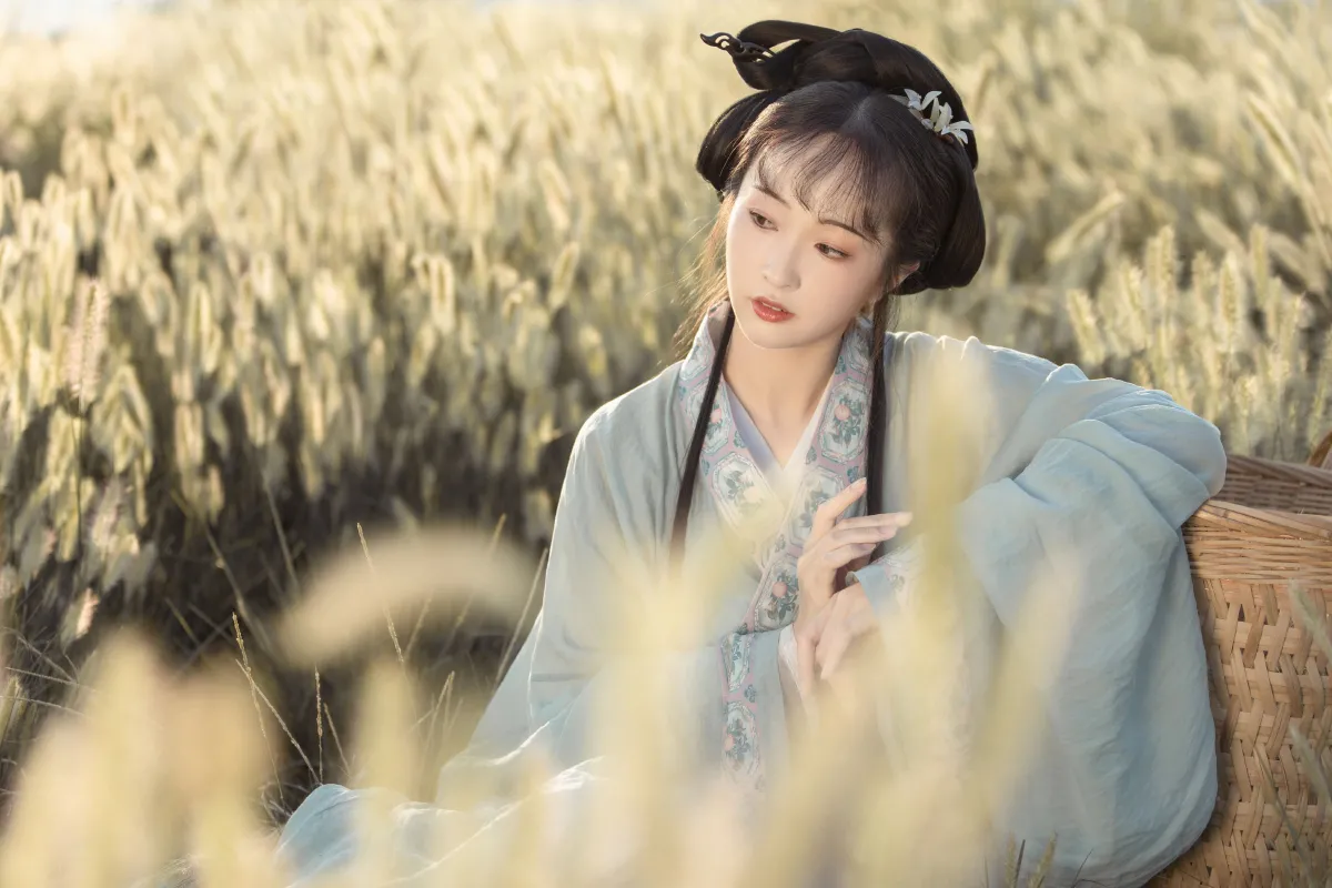 秋风引1