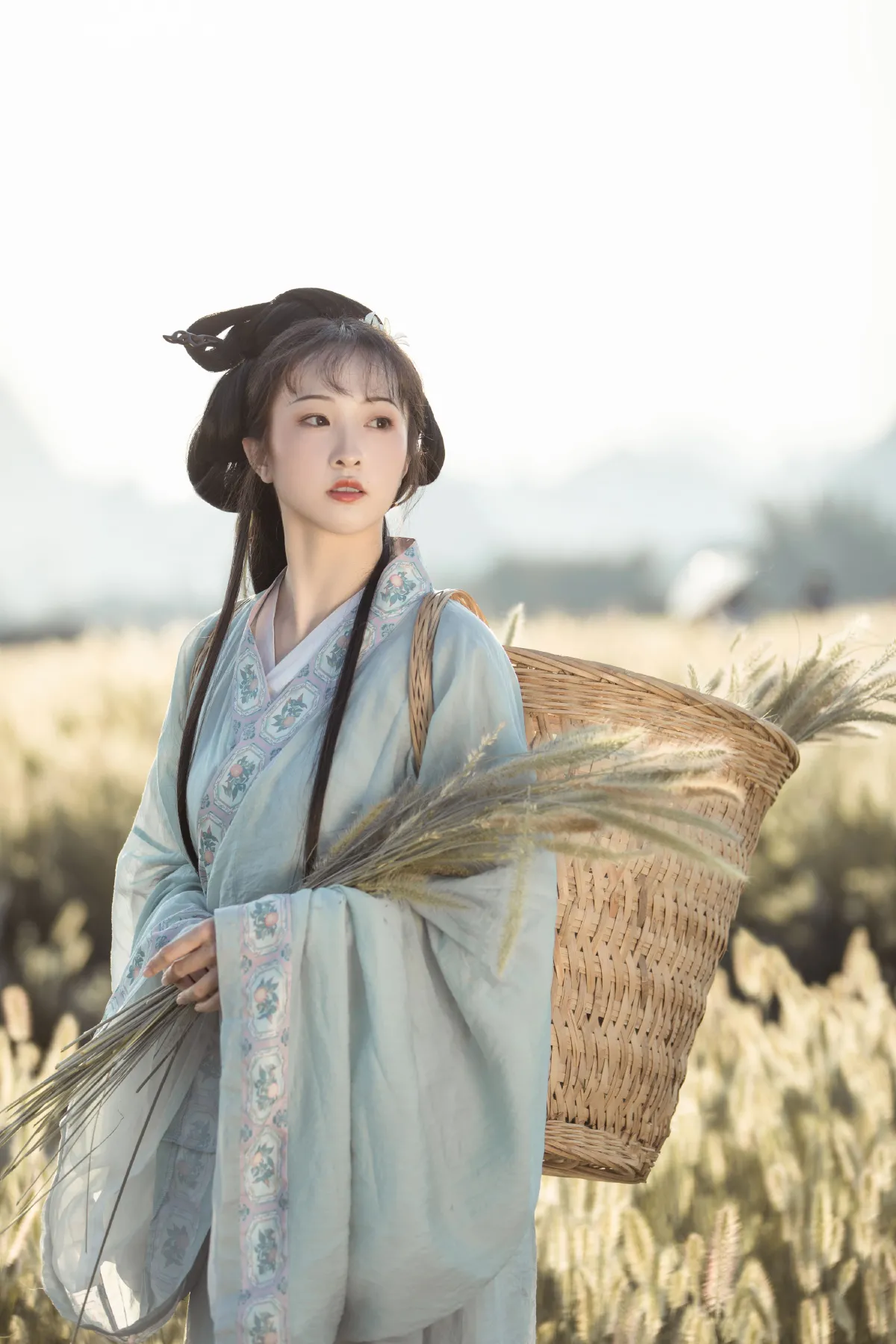 秋风引
