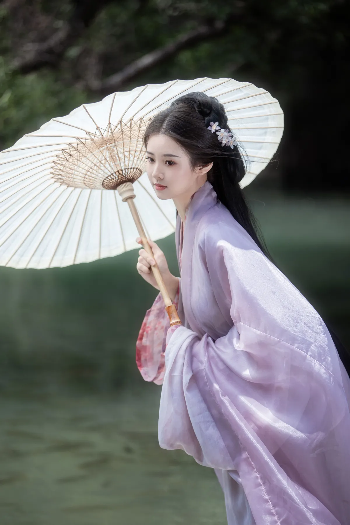 芳草萋萋