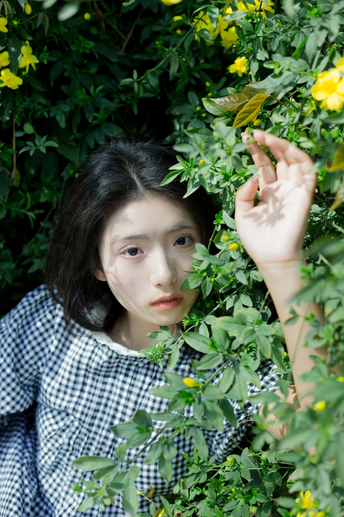 故事的小黄花