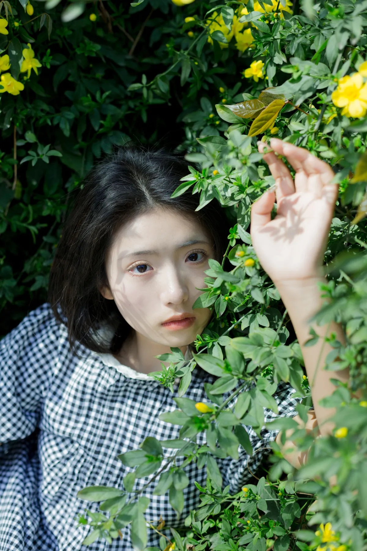 故事的小黄花2