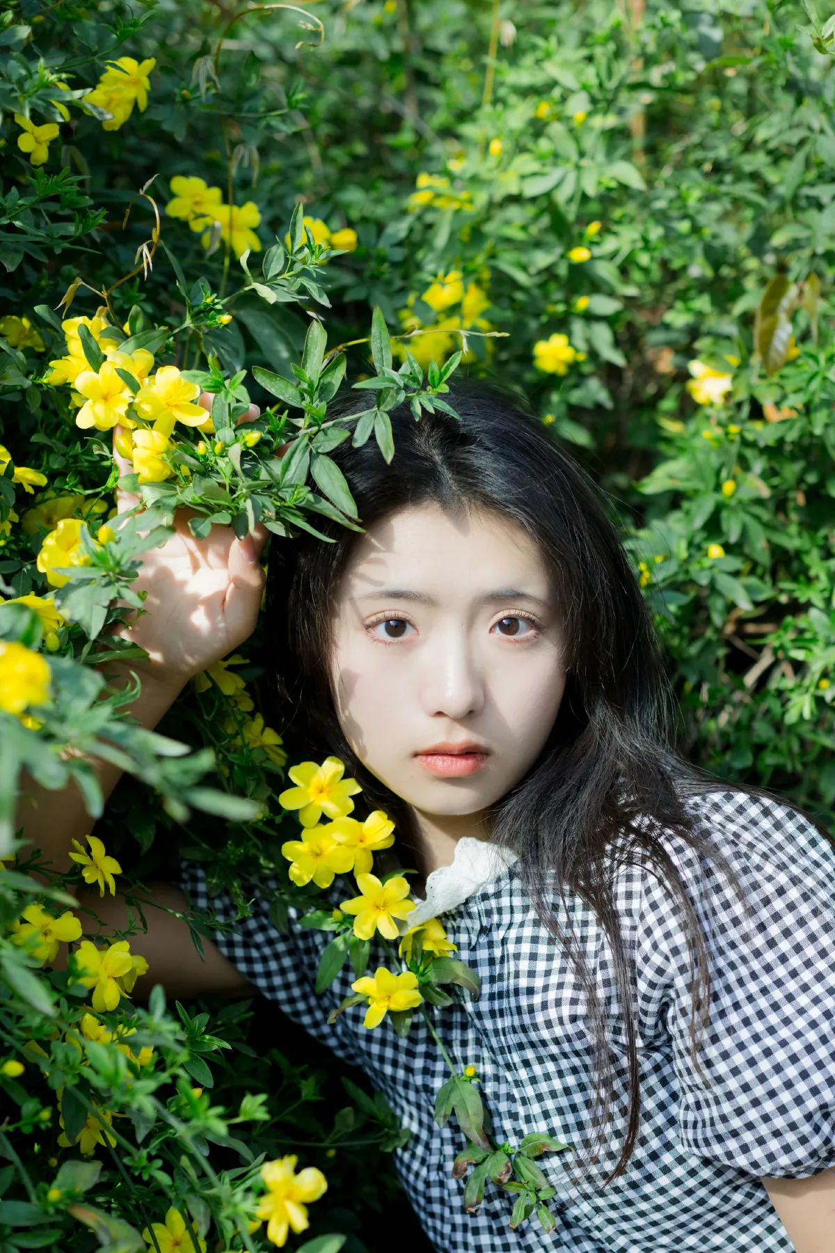 故事的小黄花