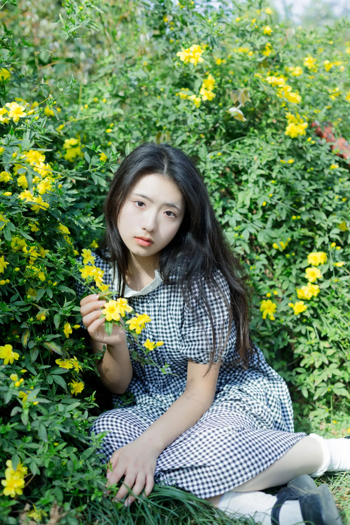 故事的小黄花