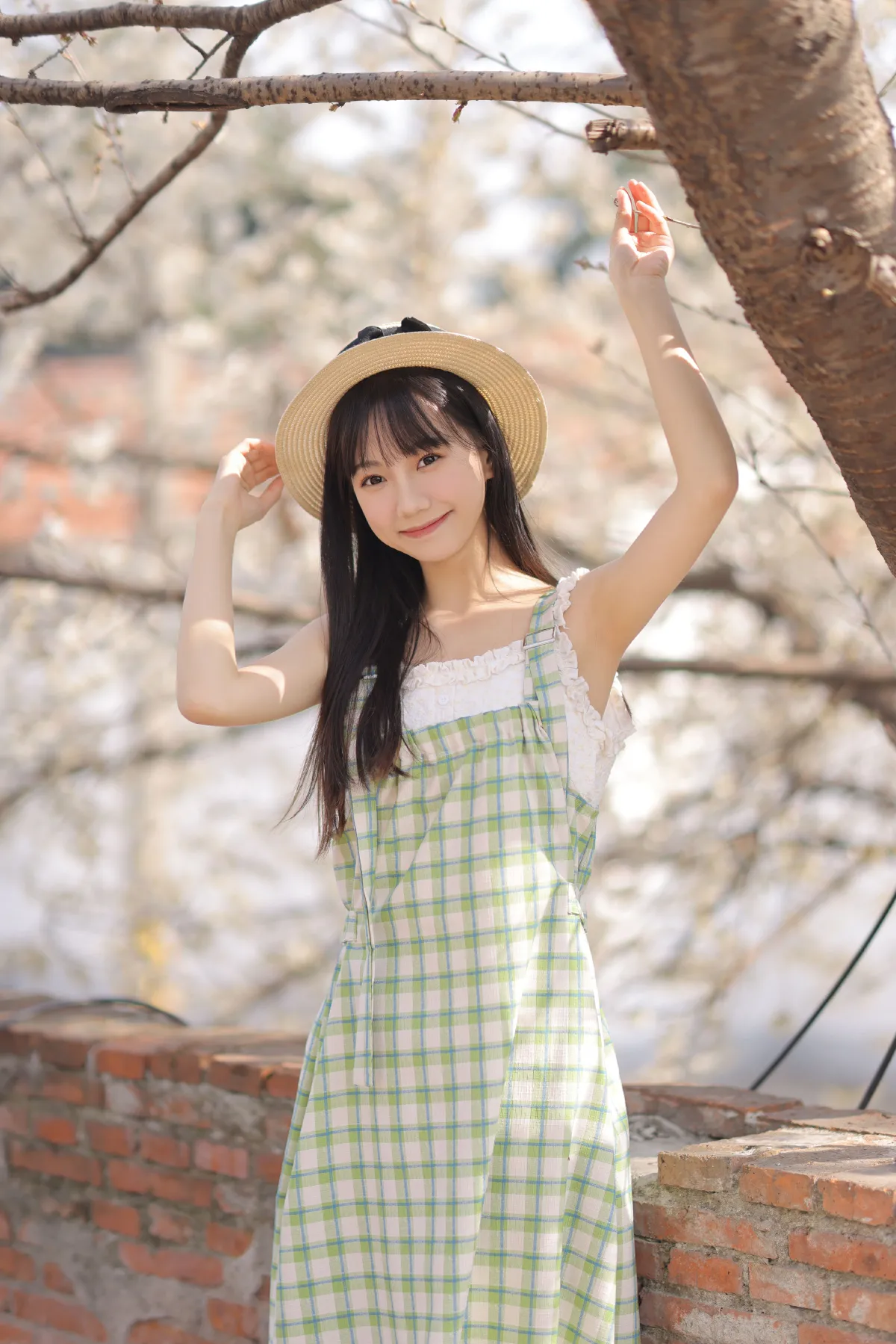 樱花海2