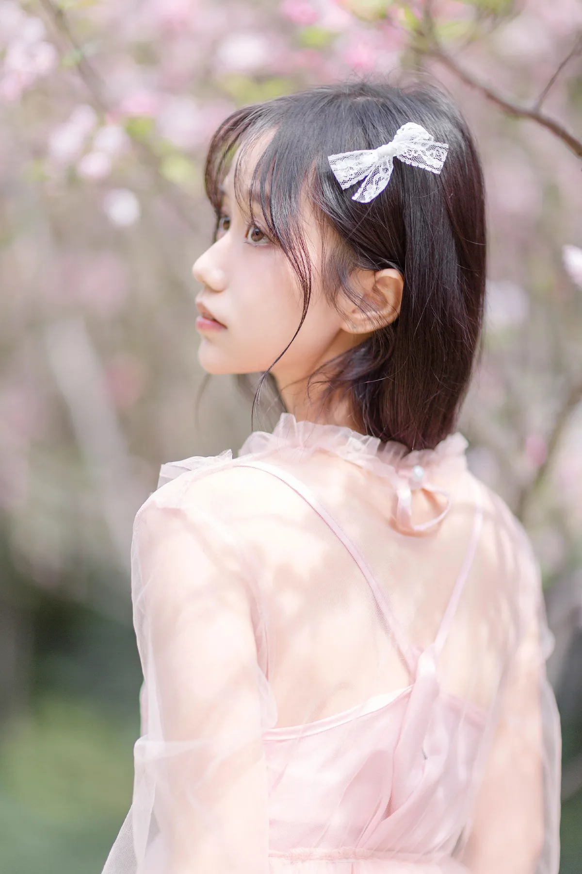 春日海棠