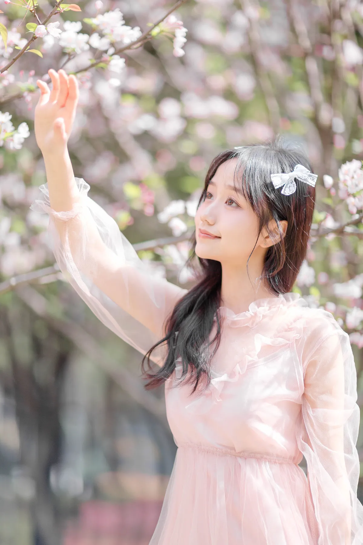 Sweet香菜丸子_静怡《春日海棠》美图作品图片5