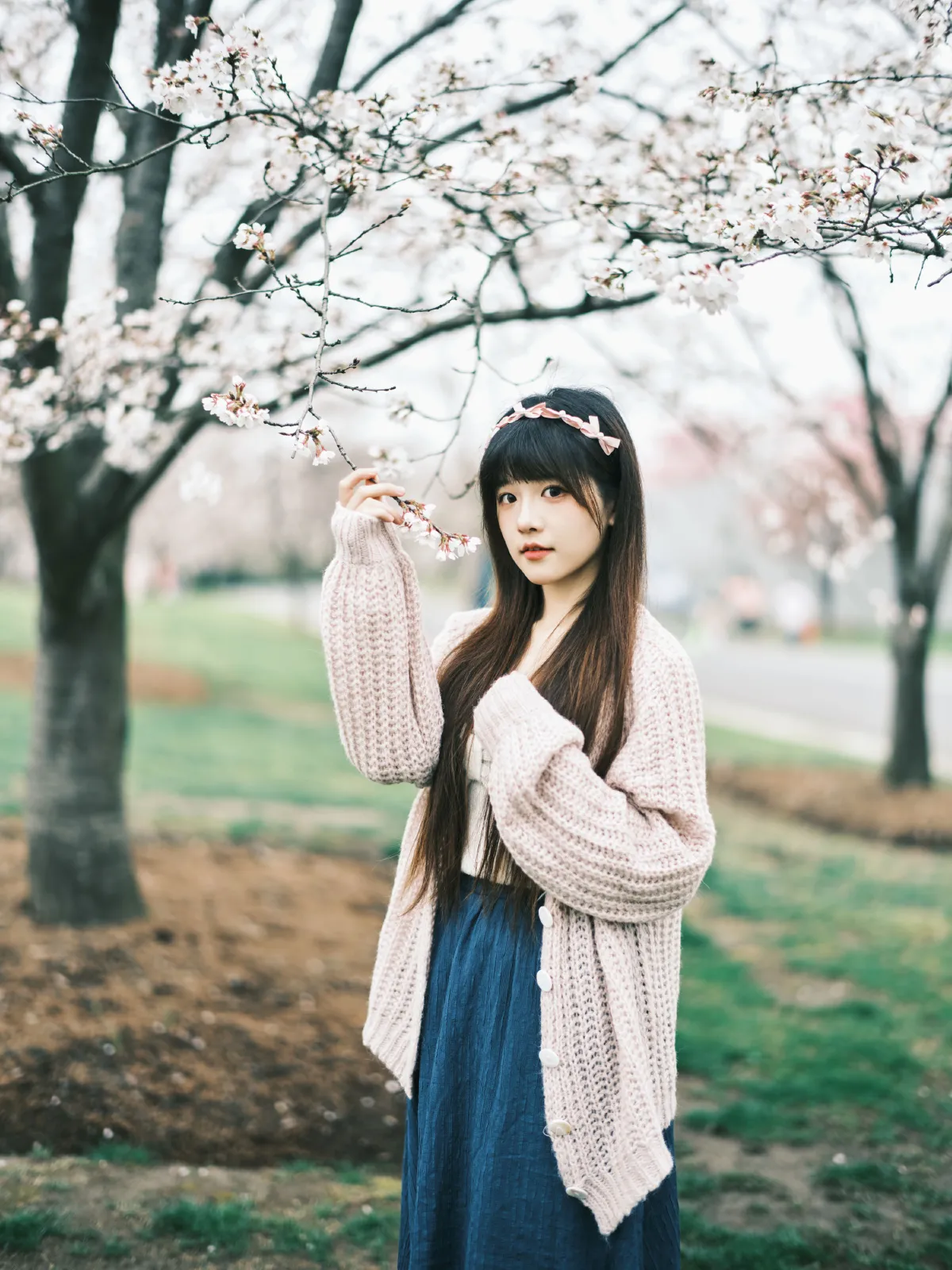 染井吉野樱