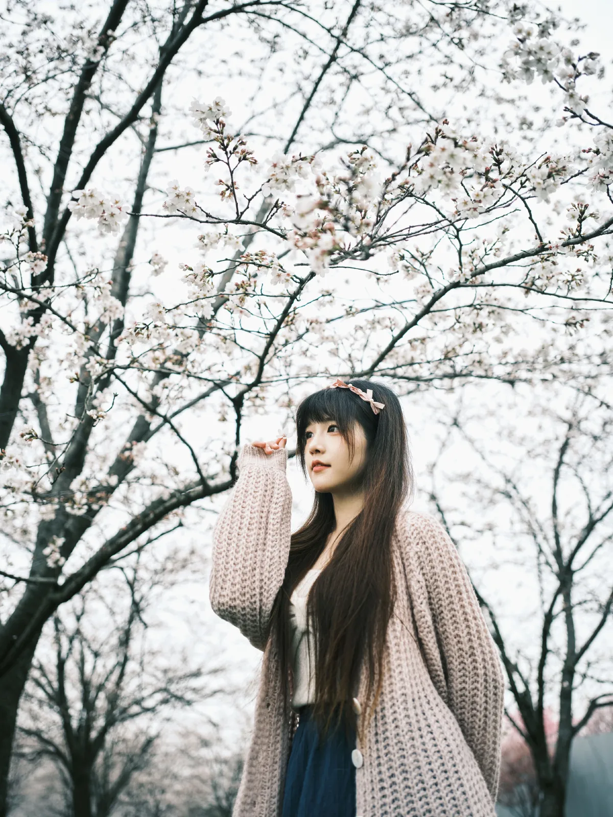 染井吉野樱