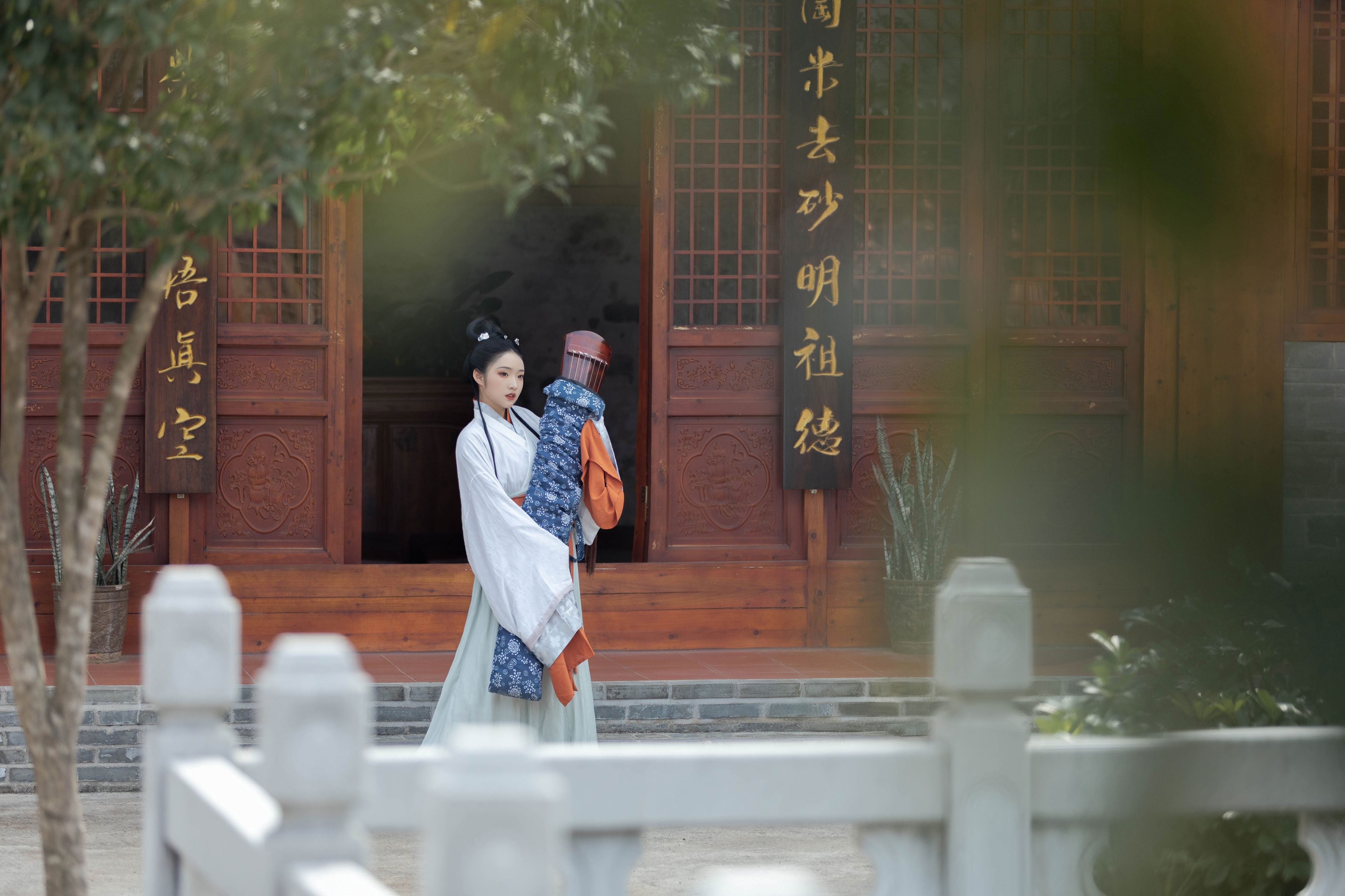 琴君可听