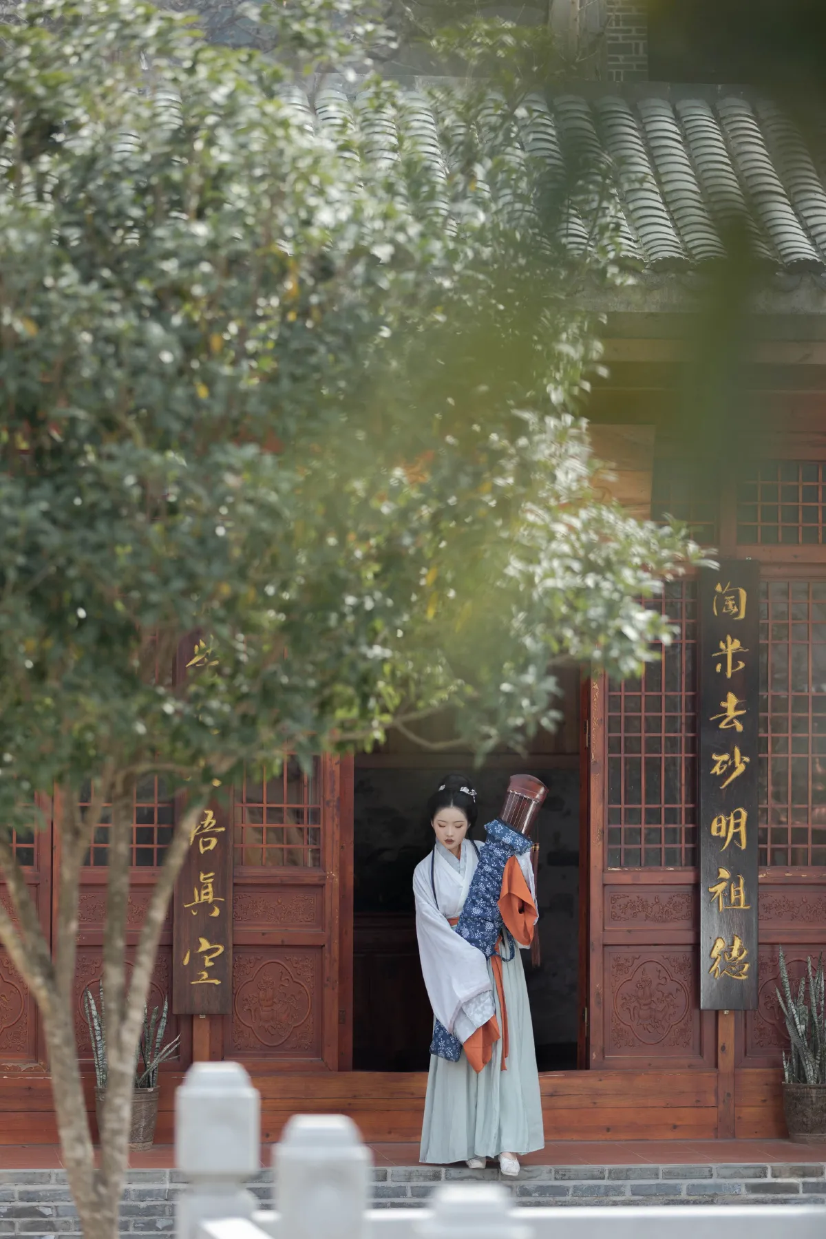 琴君可听