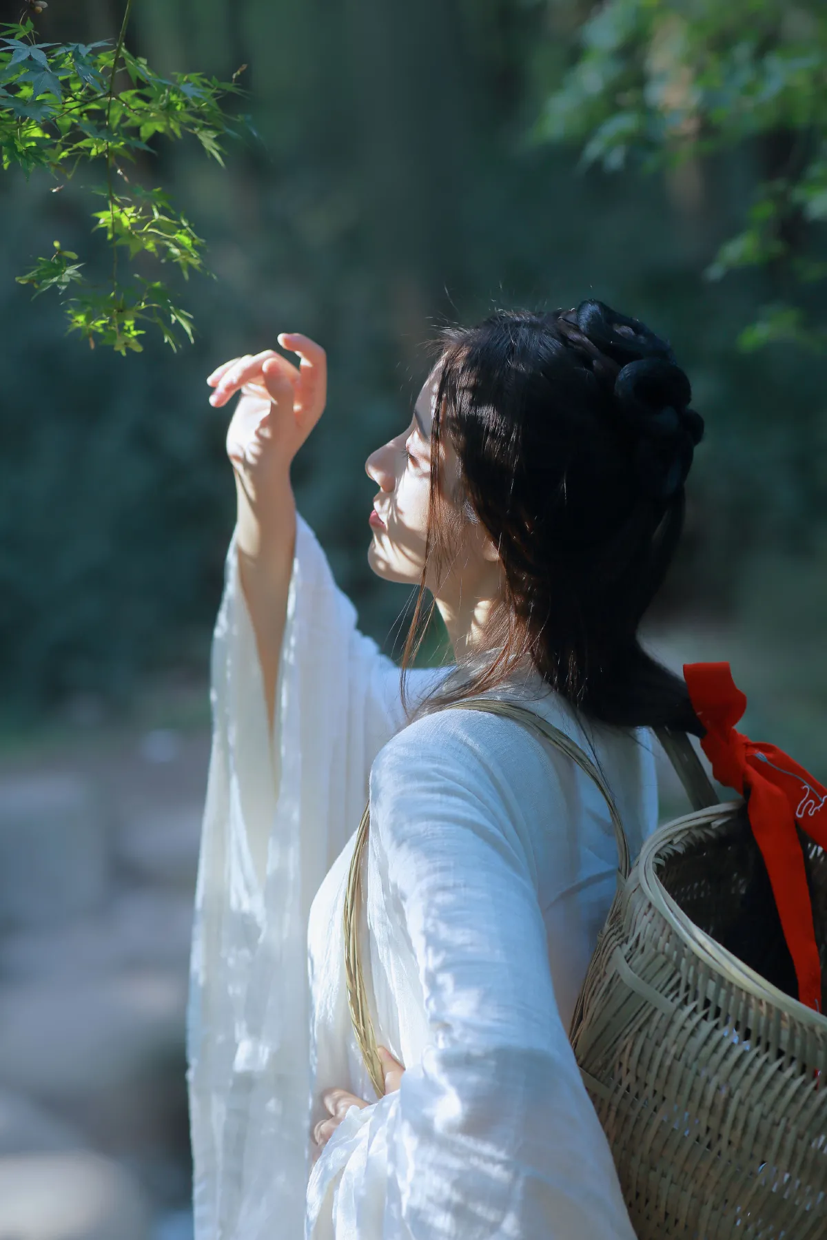 清竹影