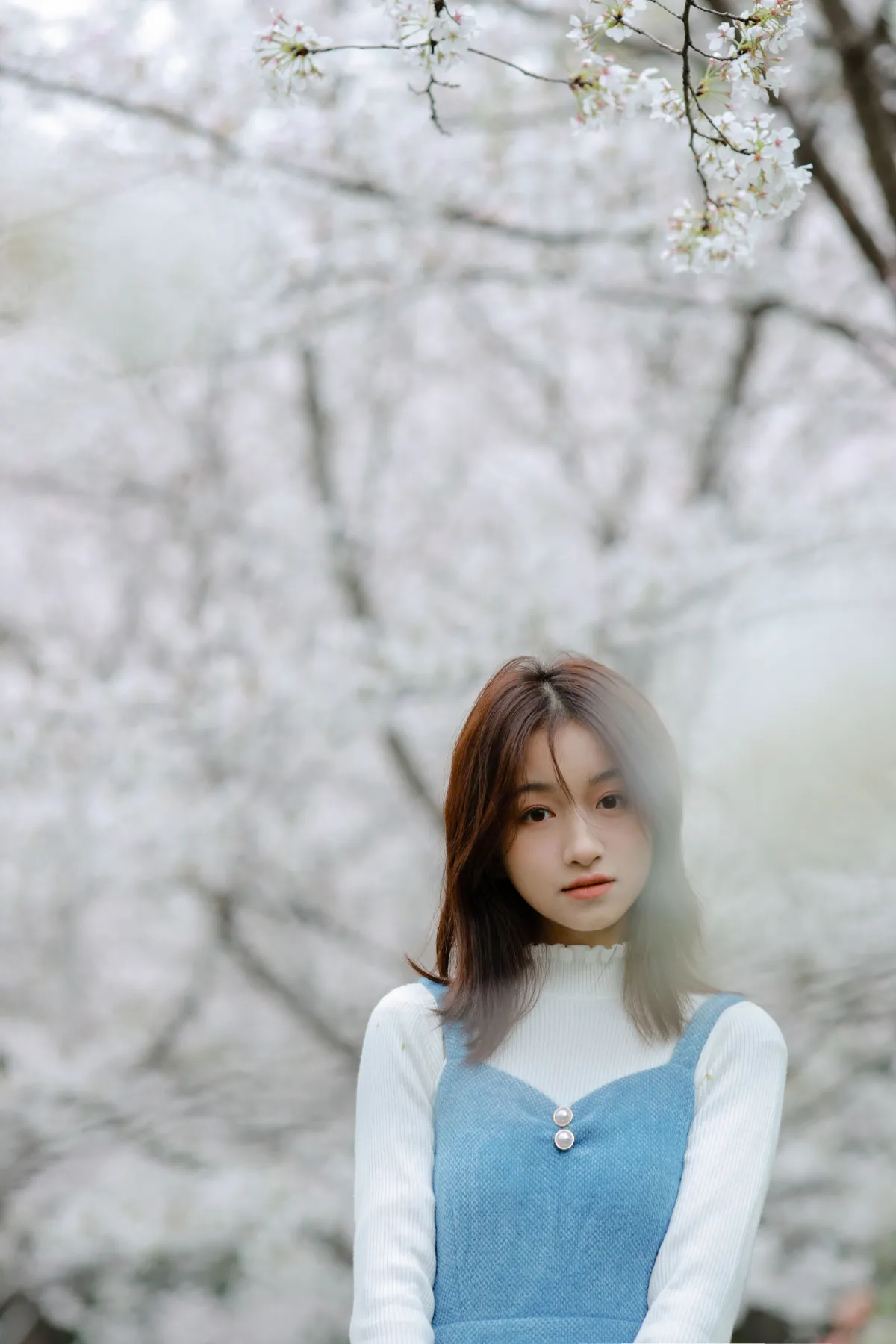 樱花物语1