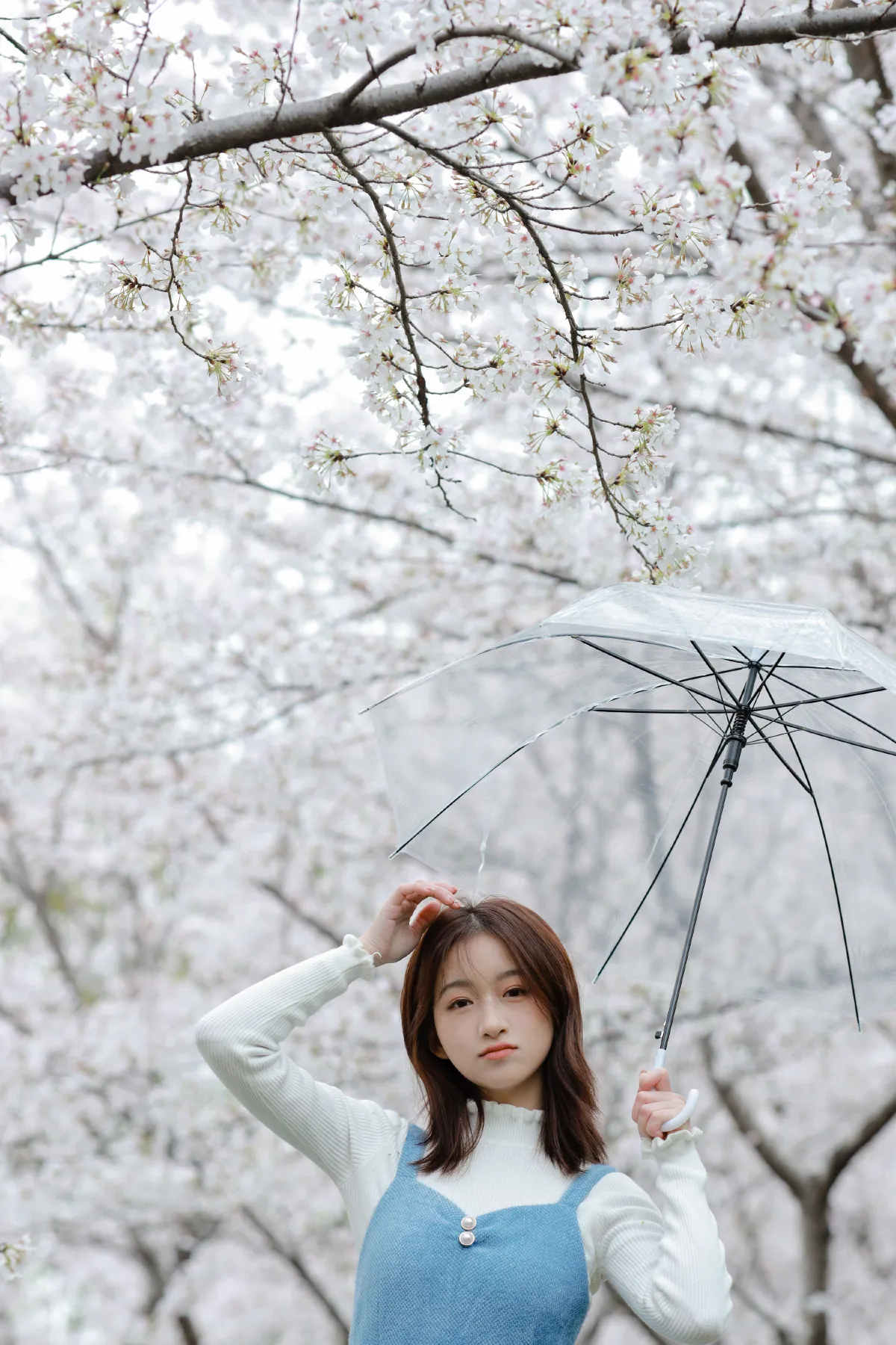 樱花物语2