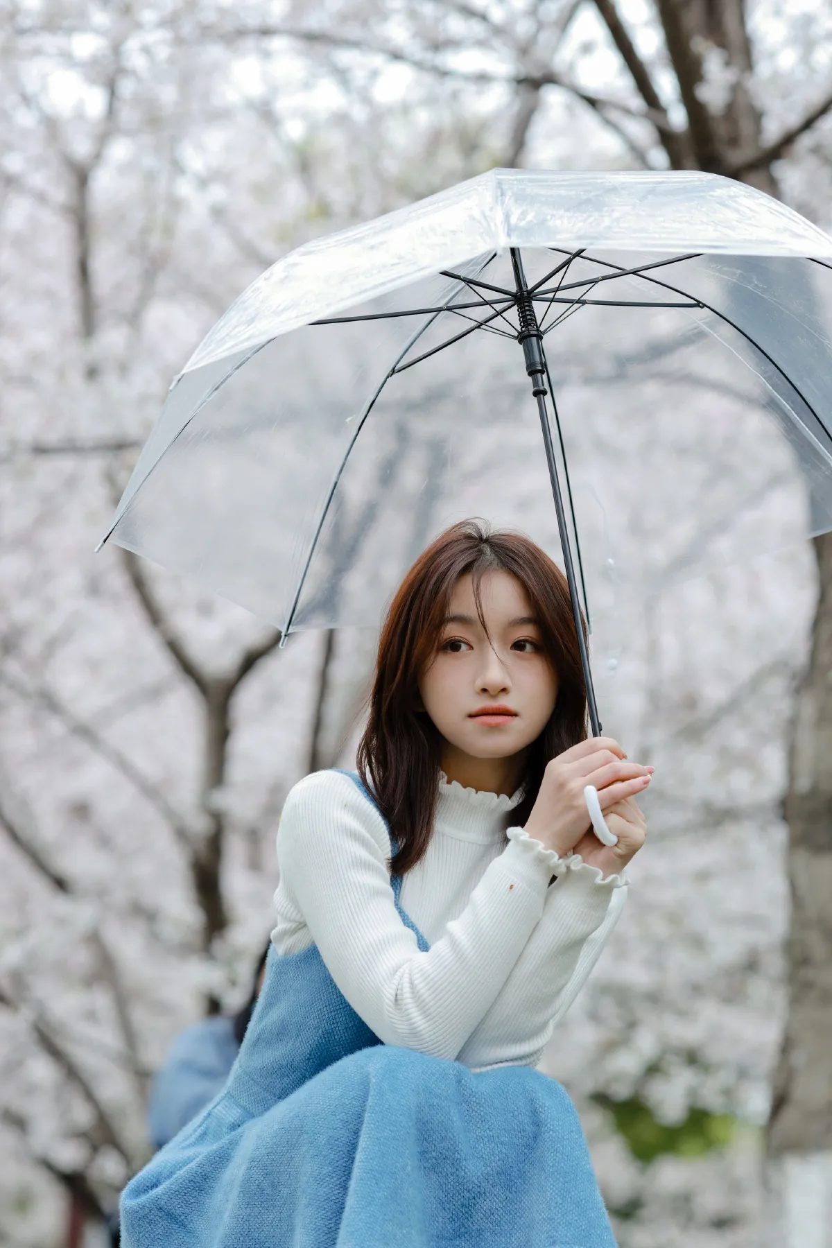 樱花物语3