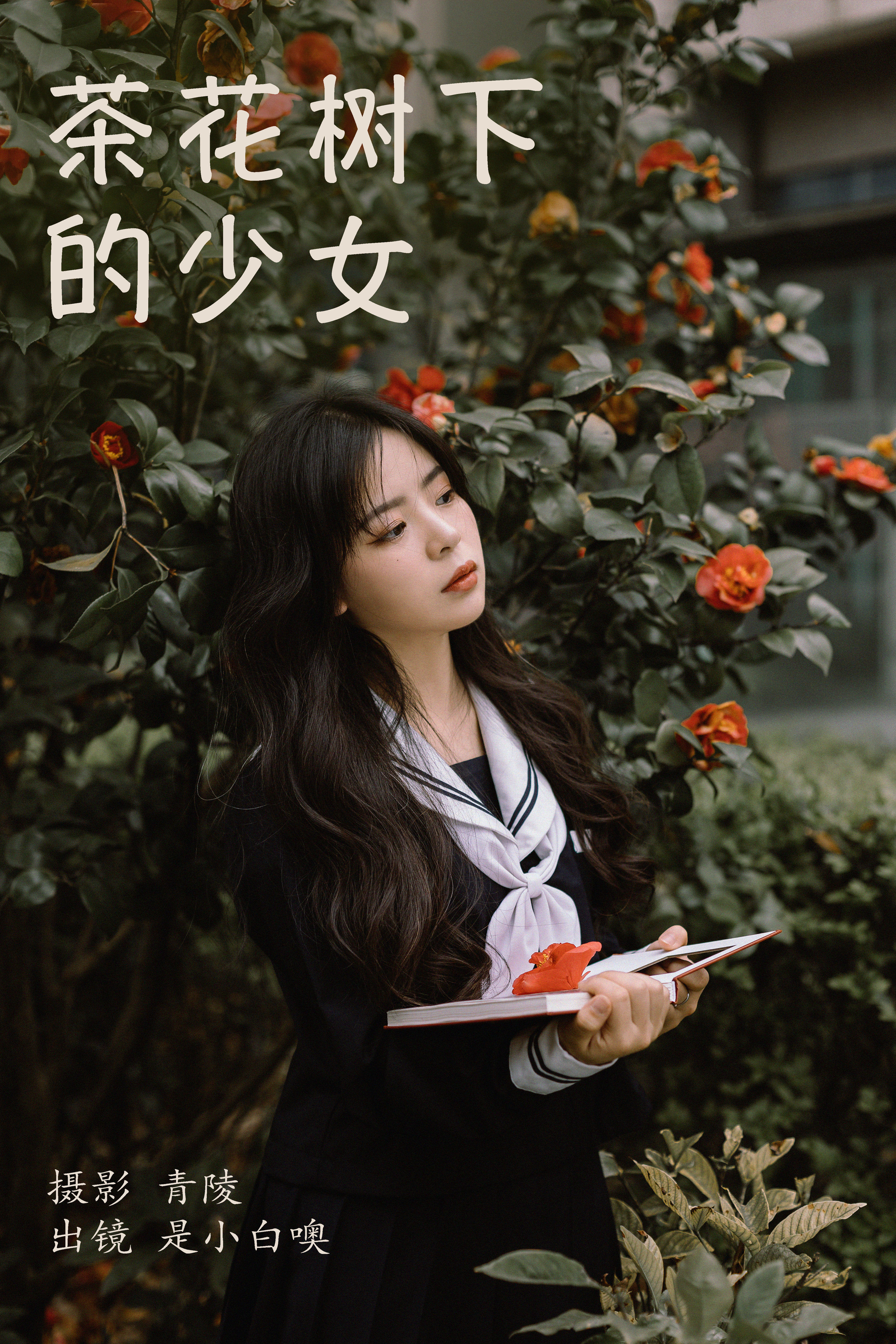 青陵_是小白噢《茶花树下的少女》美图作品图片1