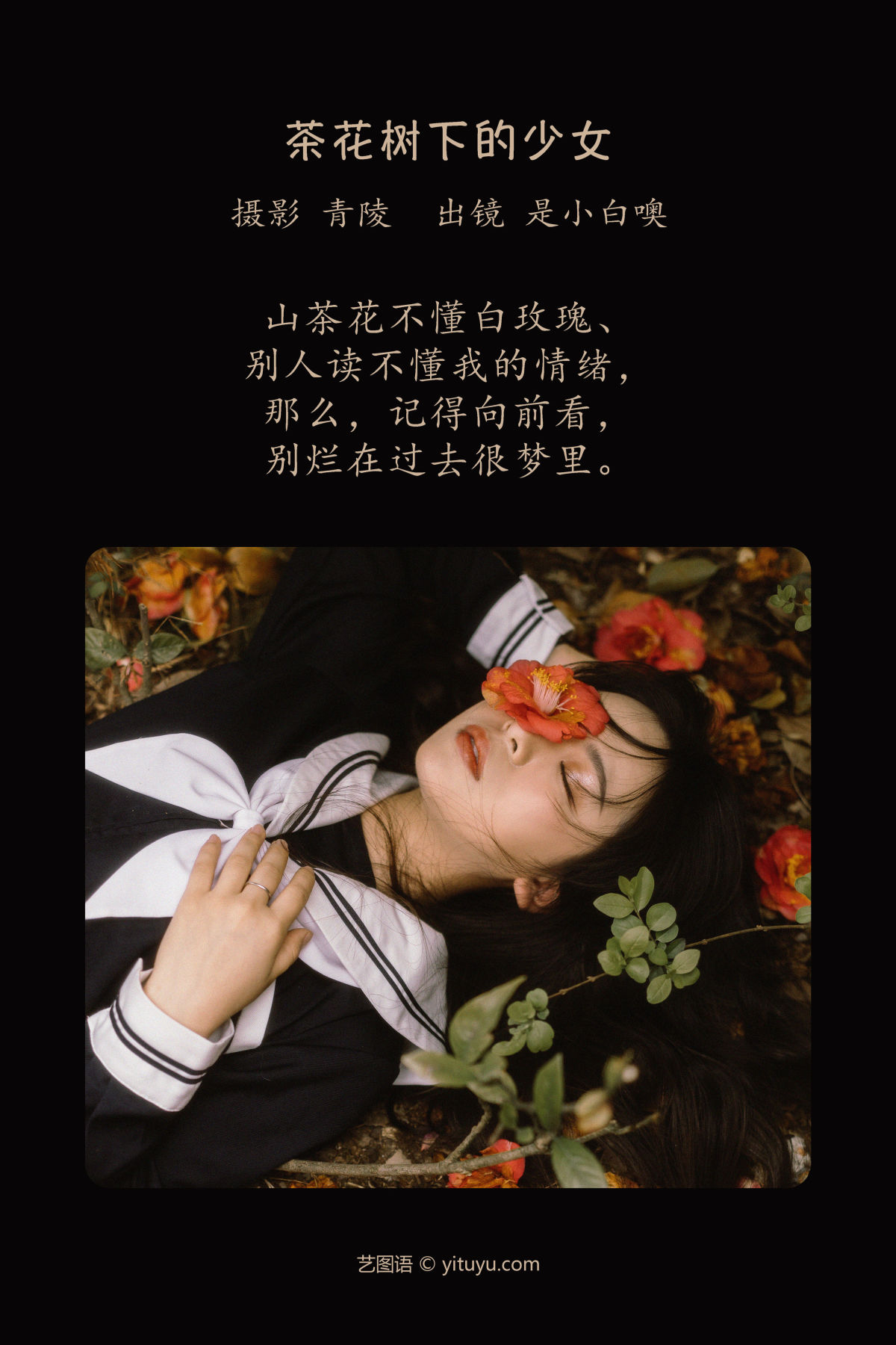 青陵_是小白噢《茶花树下的少女》美图作品图片2