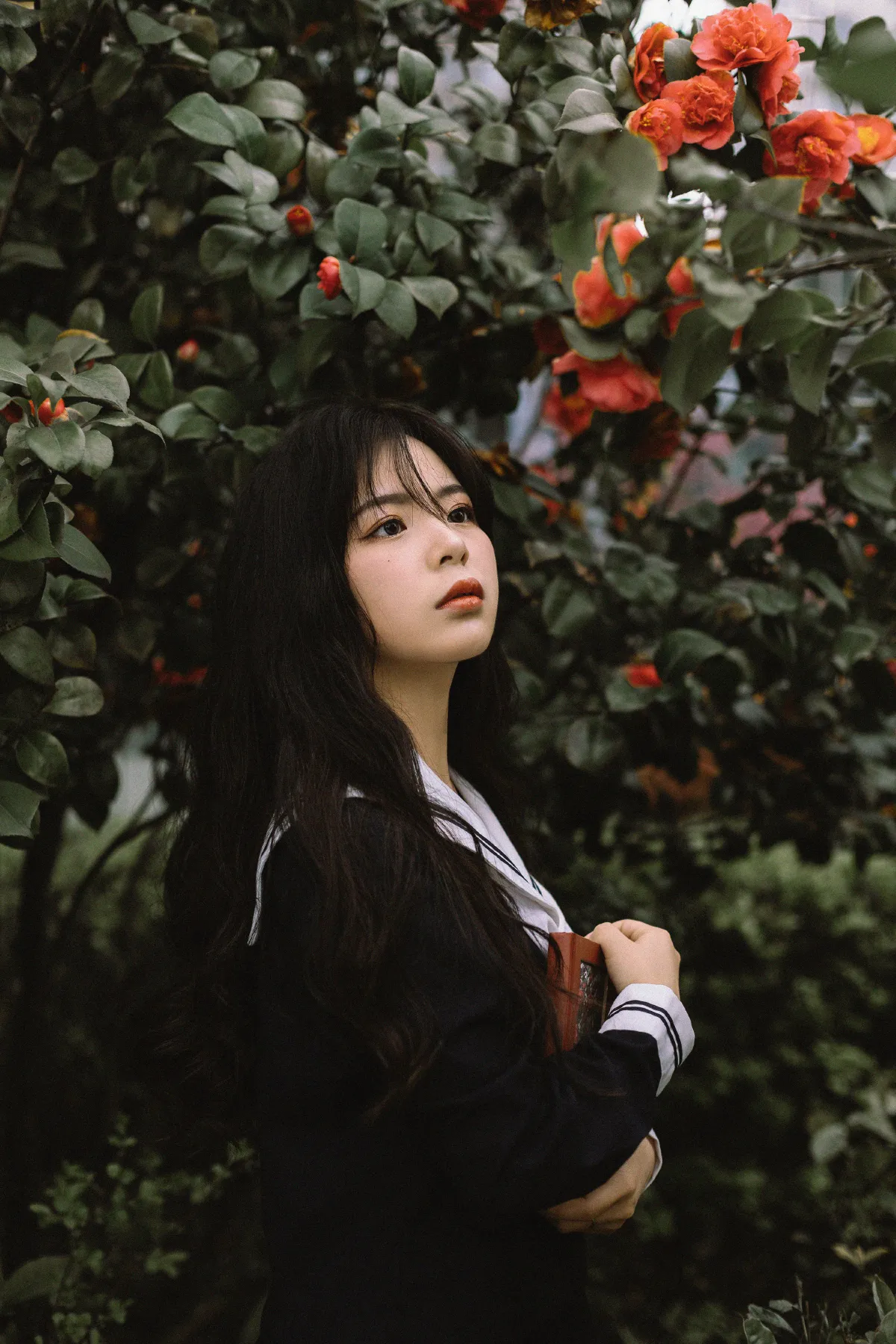 茶花树下的少女1
