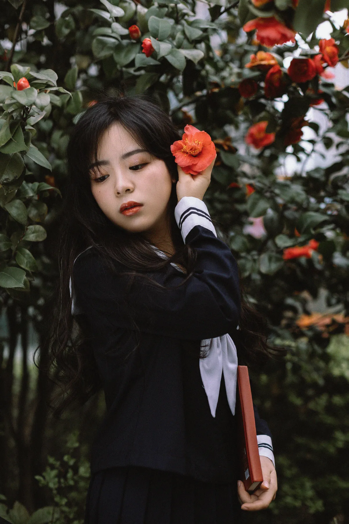 茶花树下的少女