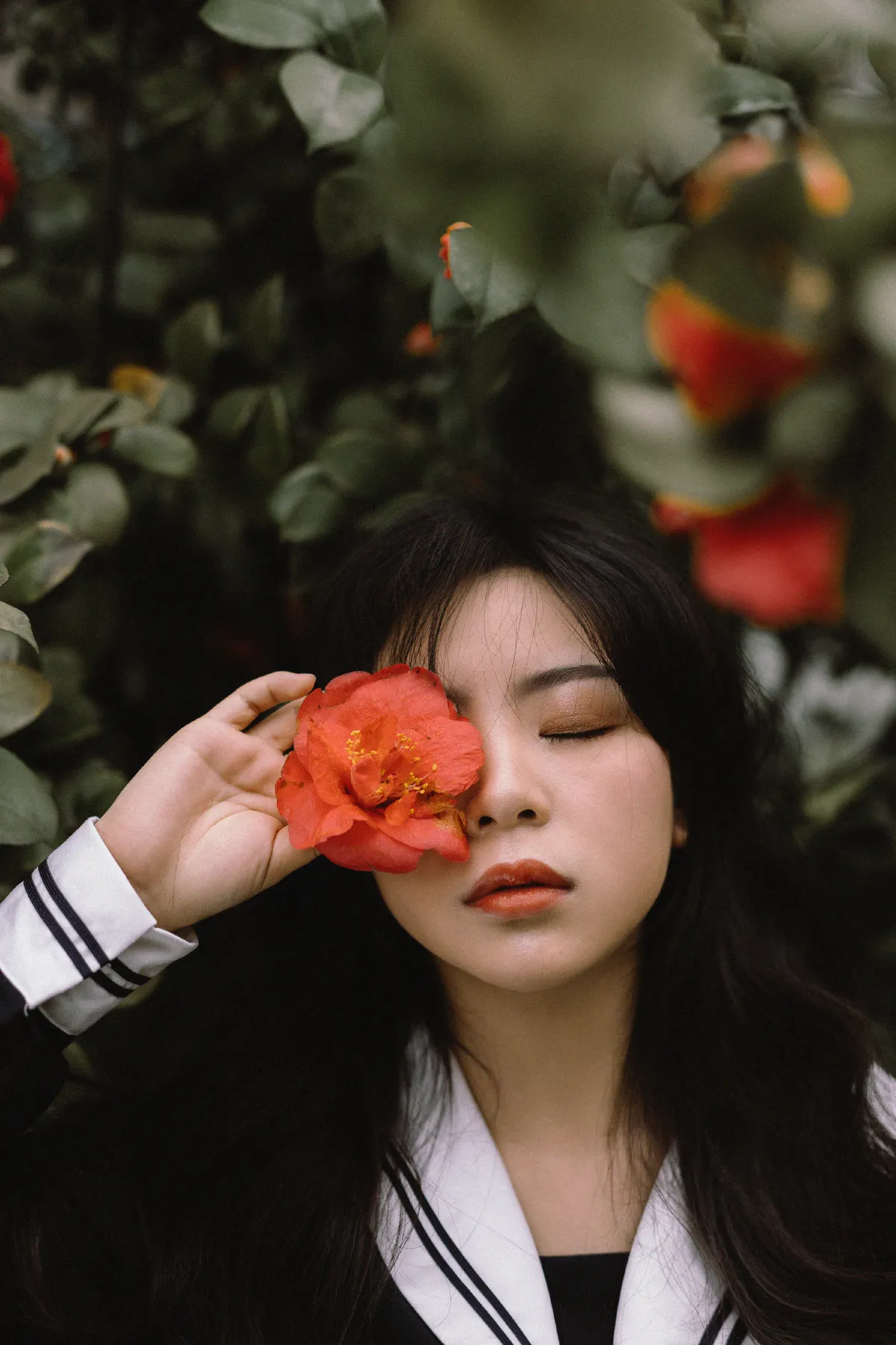 茶花树下的少女
