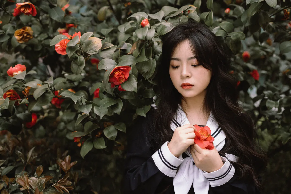 茶花树下的少女