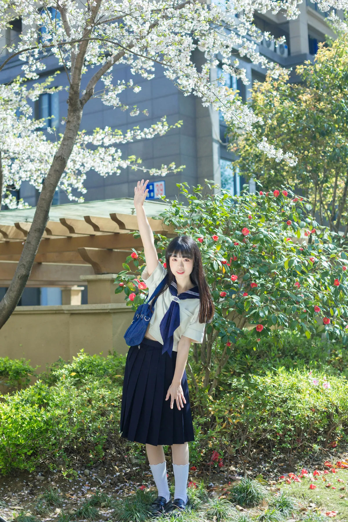 水手服的春天