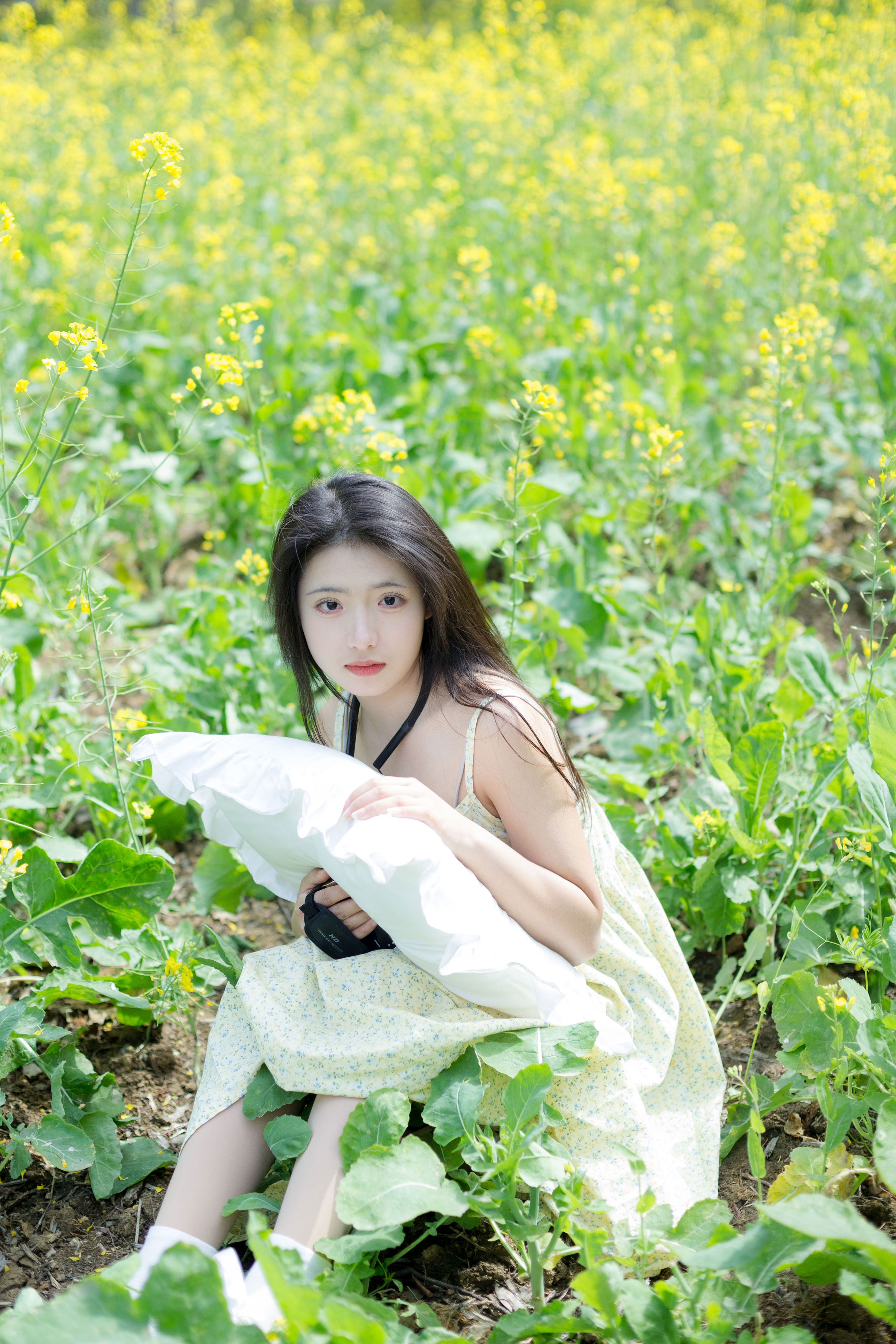 花田梦游