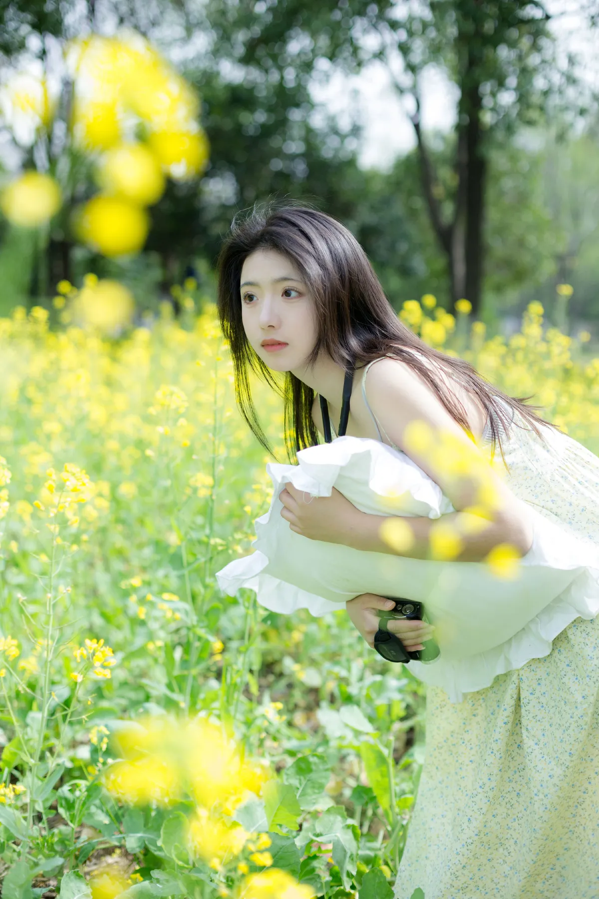 花田梦游