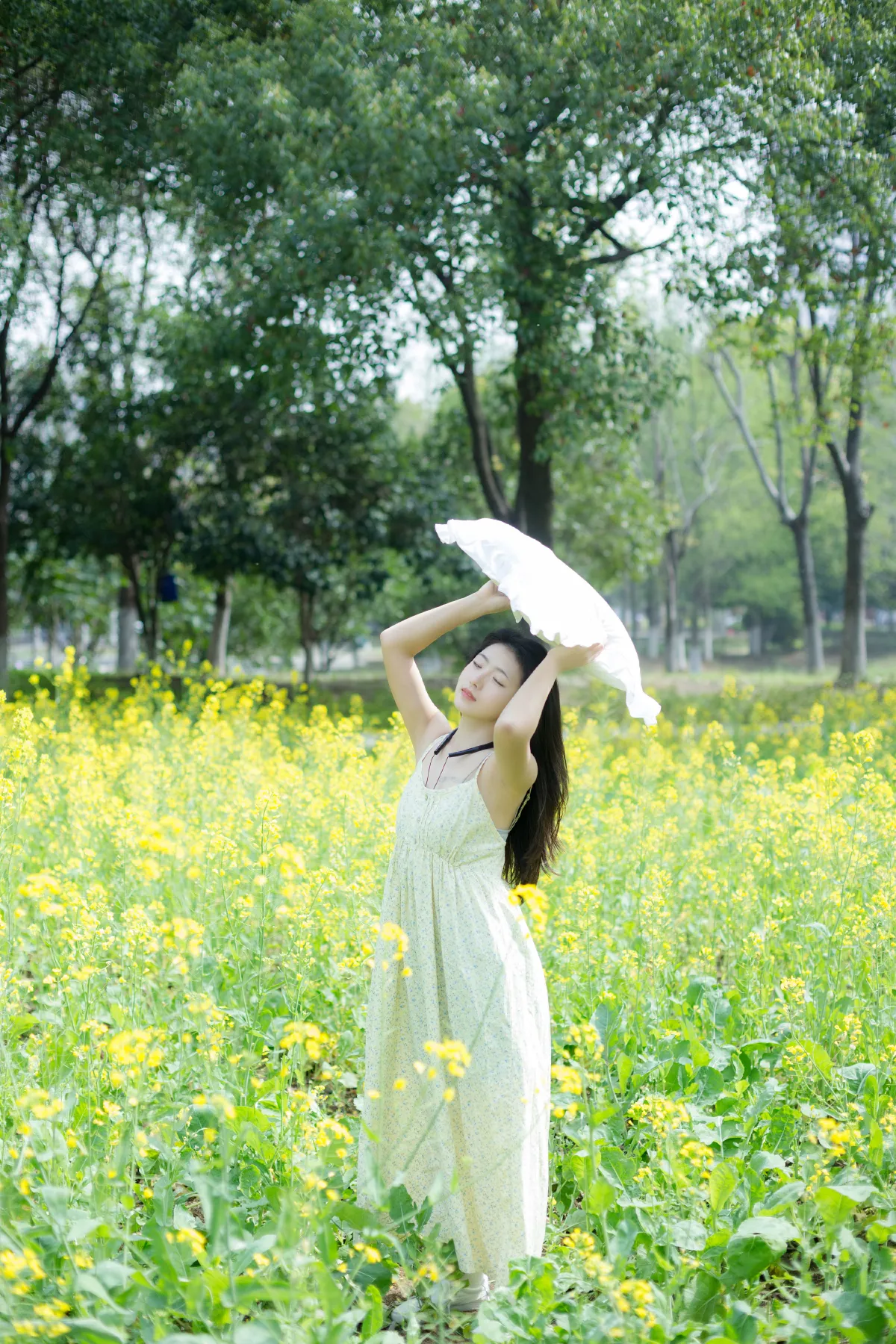 花田梦游