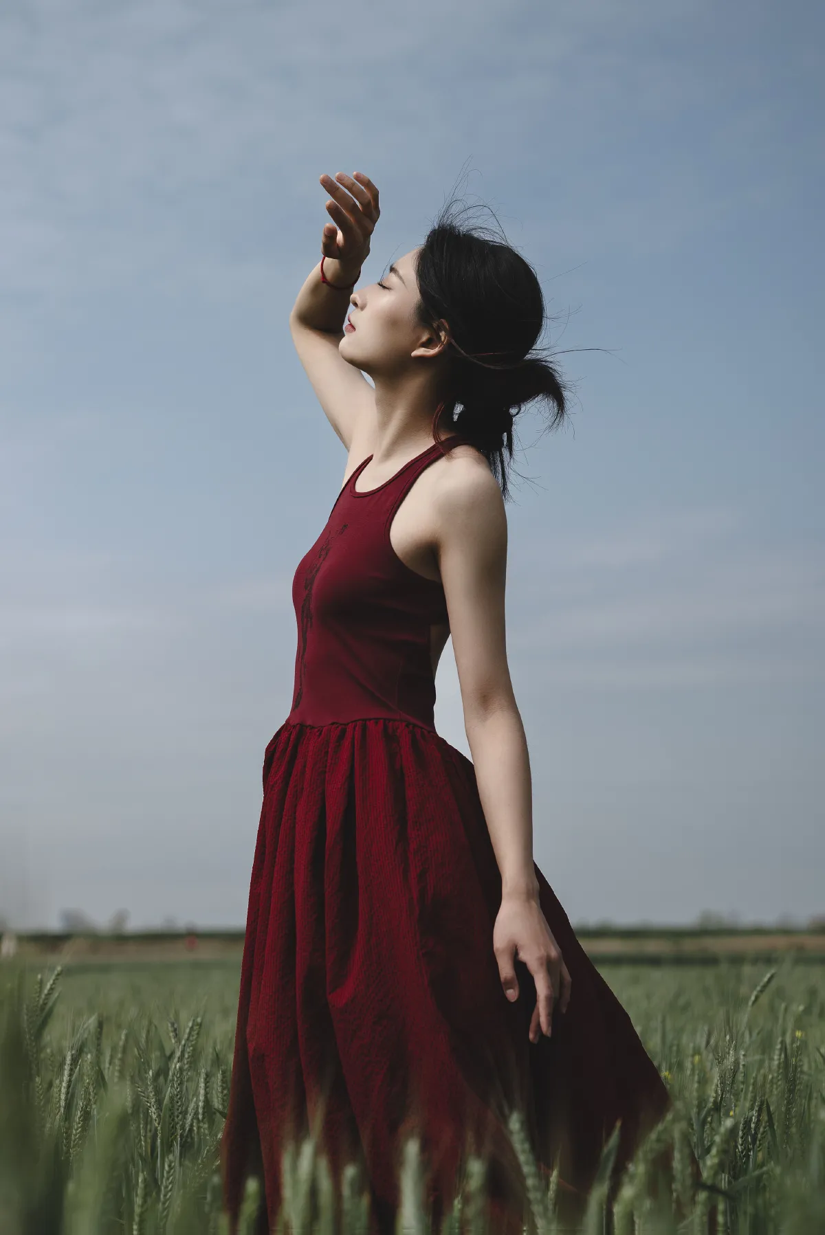 麦田计划1