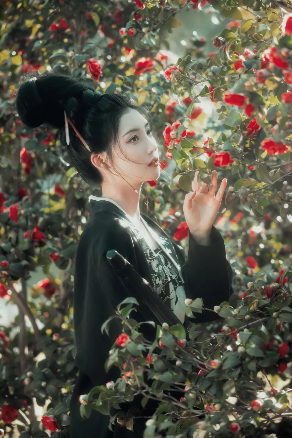 山茶不懂红玫瑰