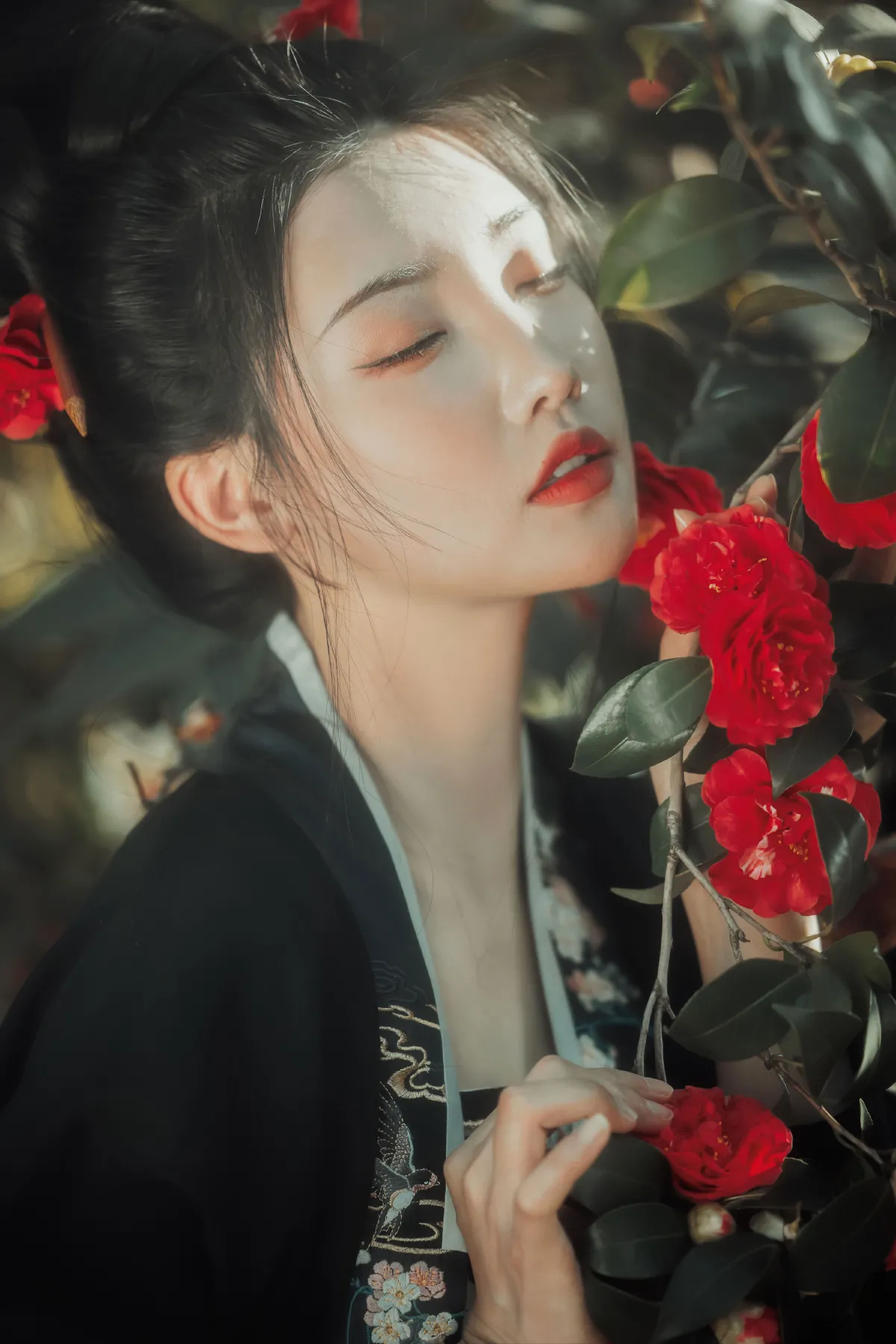 山茶不懂红玫瑰