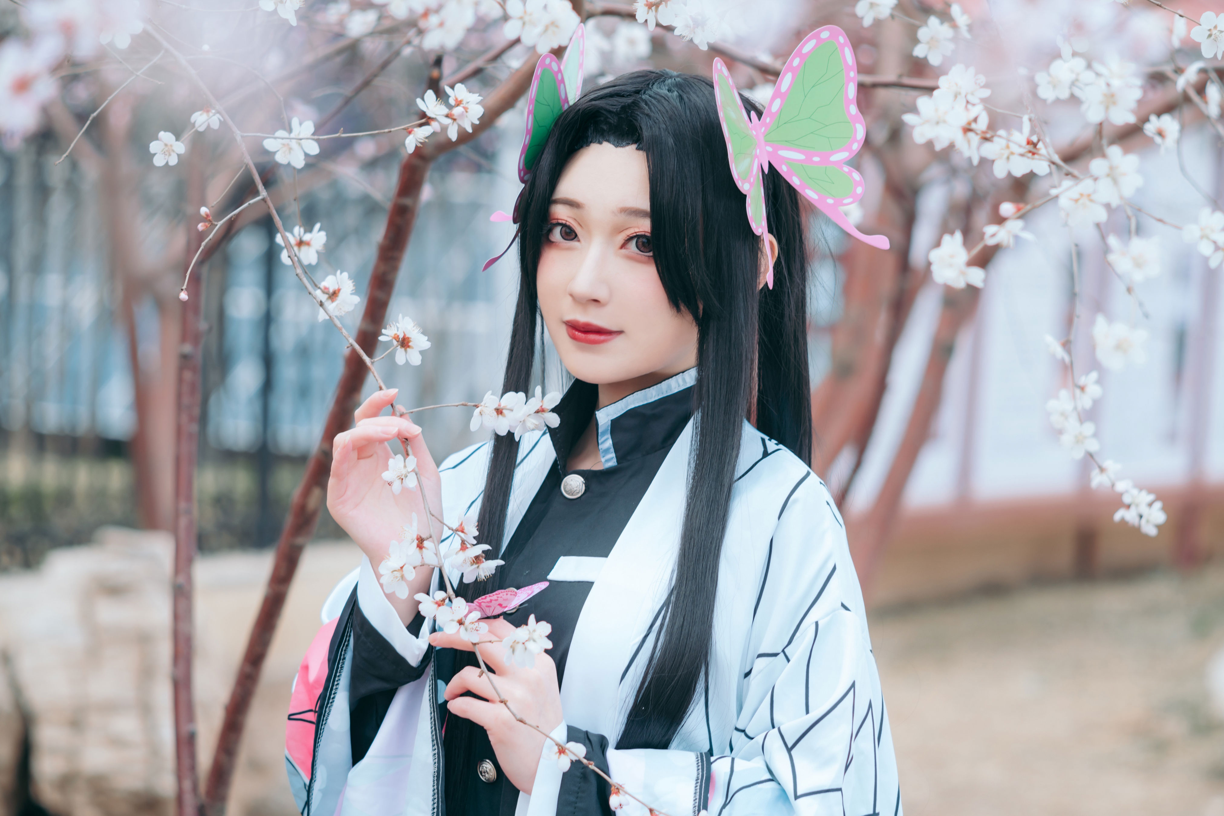 蝴蝶香奈惠