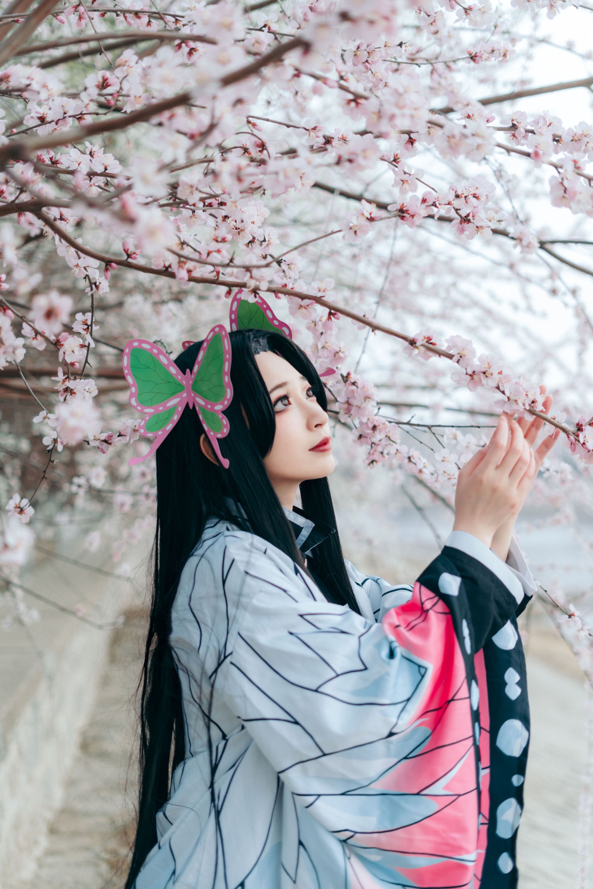 太特斯_桃墨公子x《蝴蝶香奈惠》美图作品图片3
