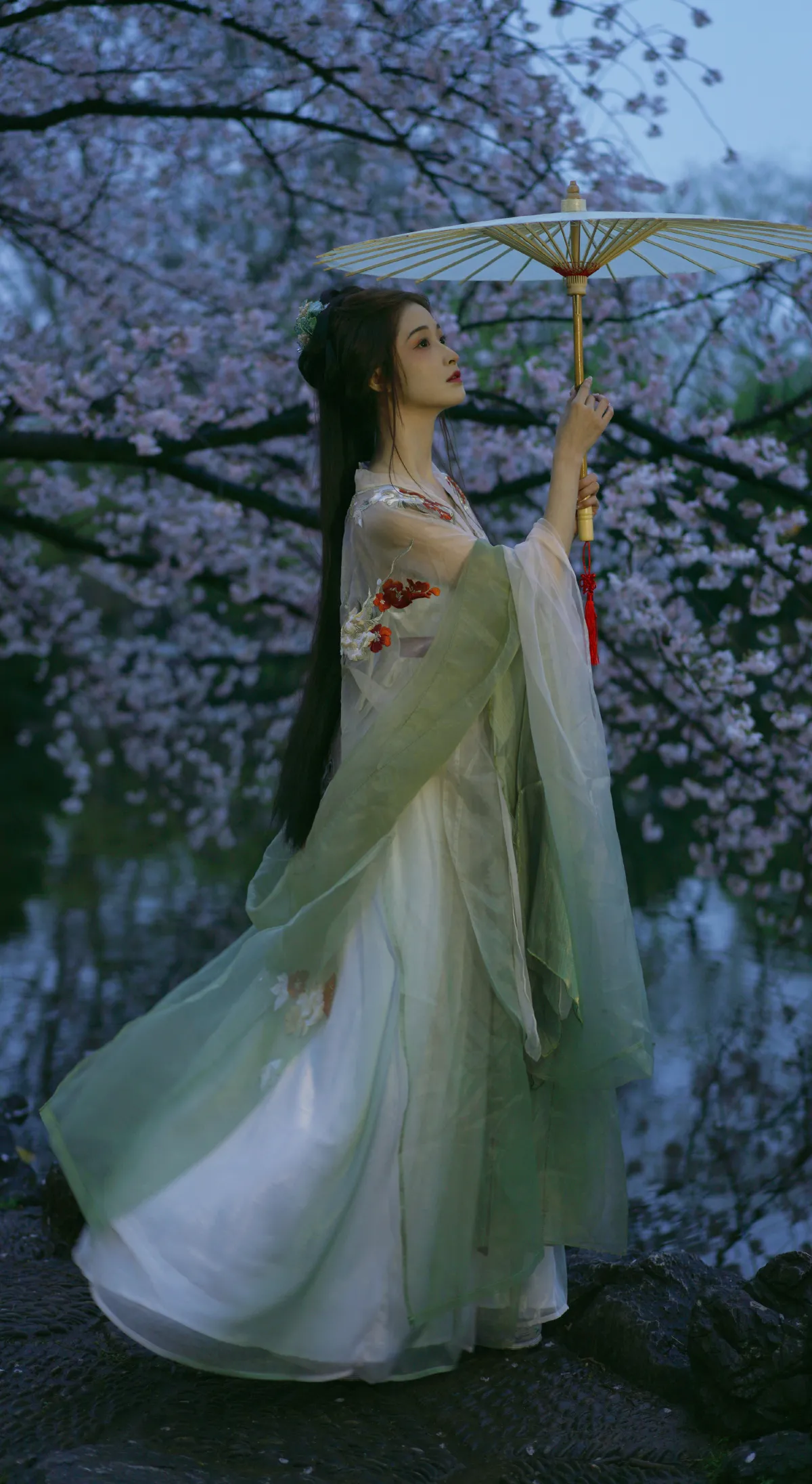 夜探樱