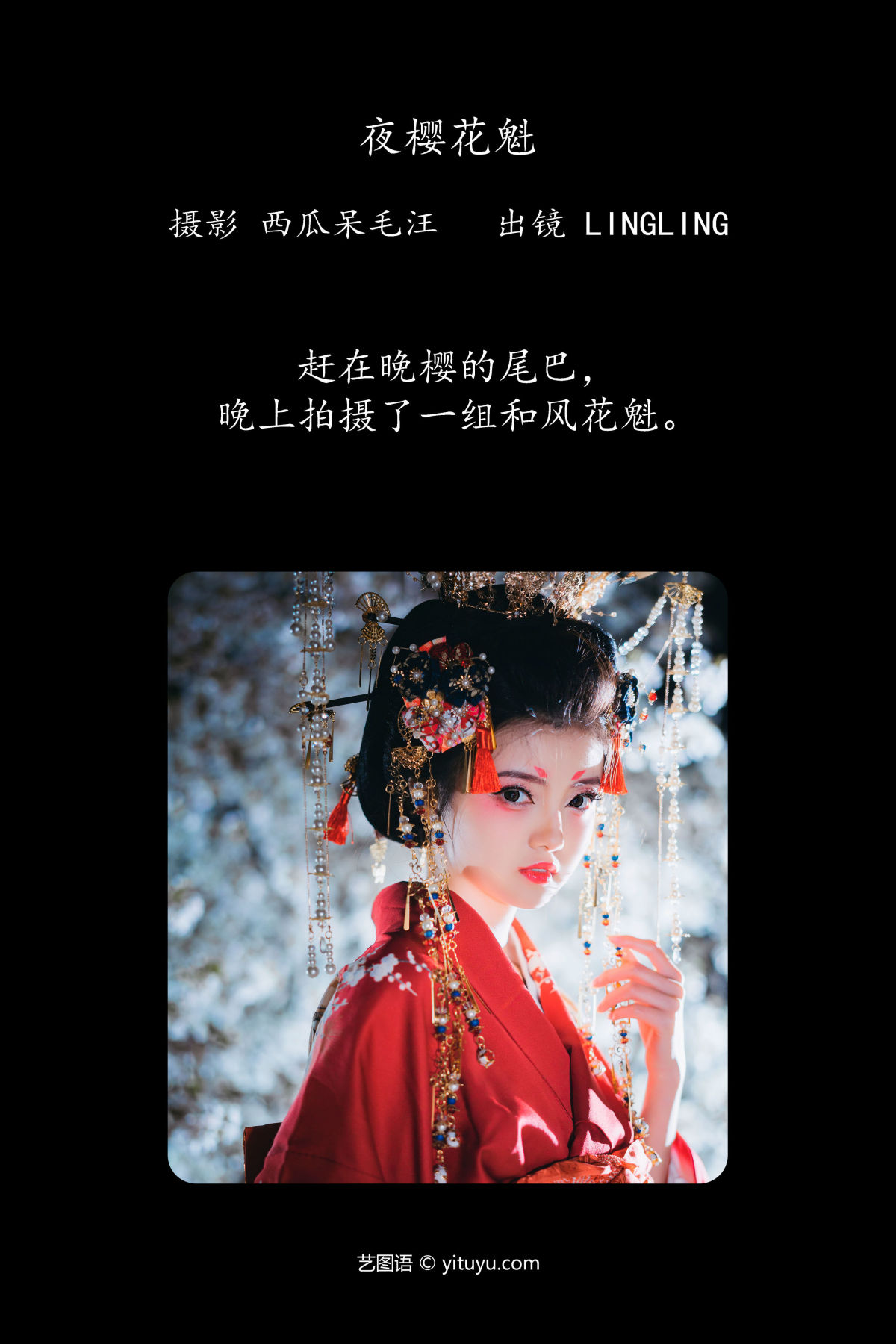 西瓜呆毛汪_KIRAKIRA零《夜樱花魁》美图作品图片2