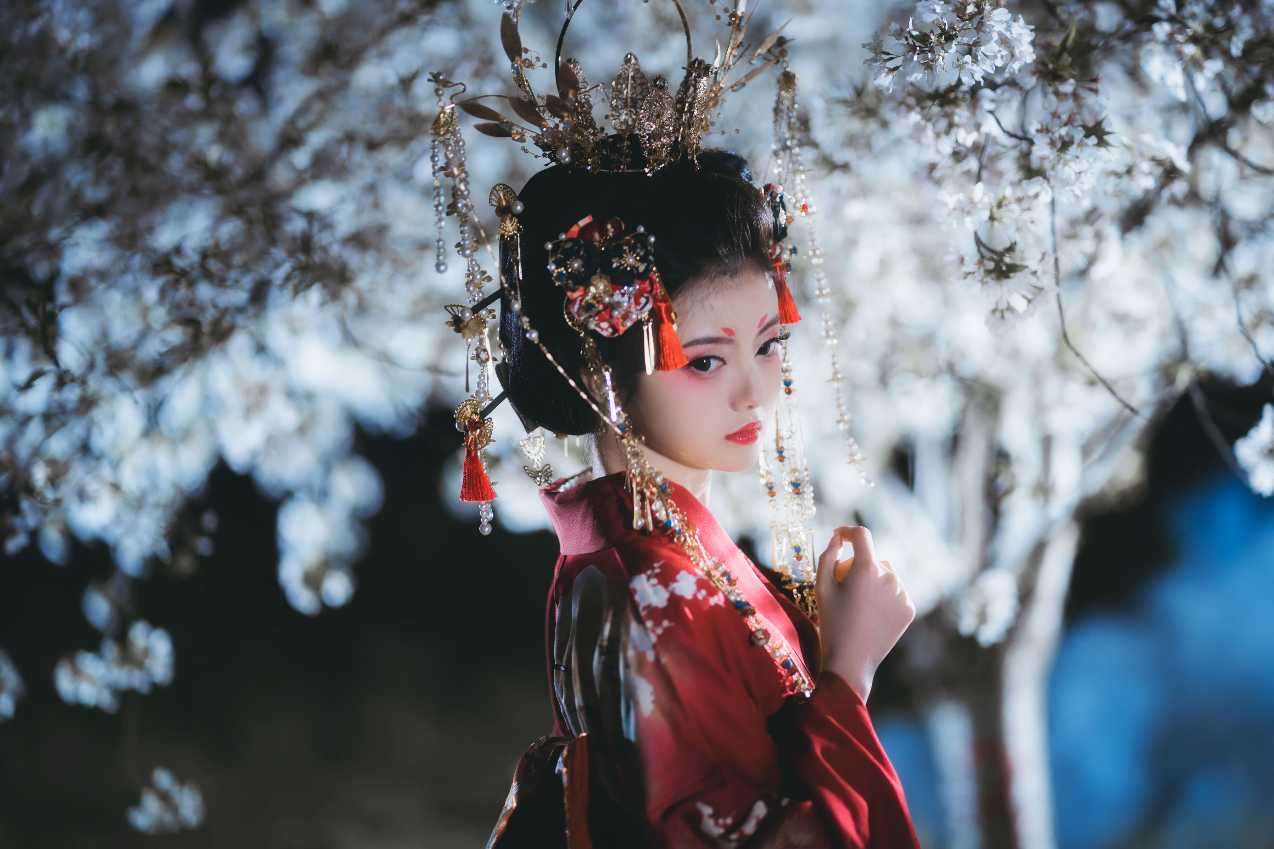 夜樱花魁