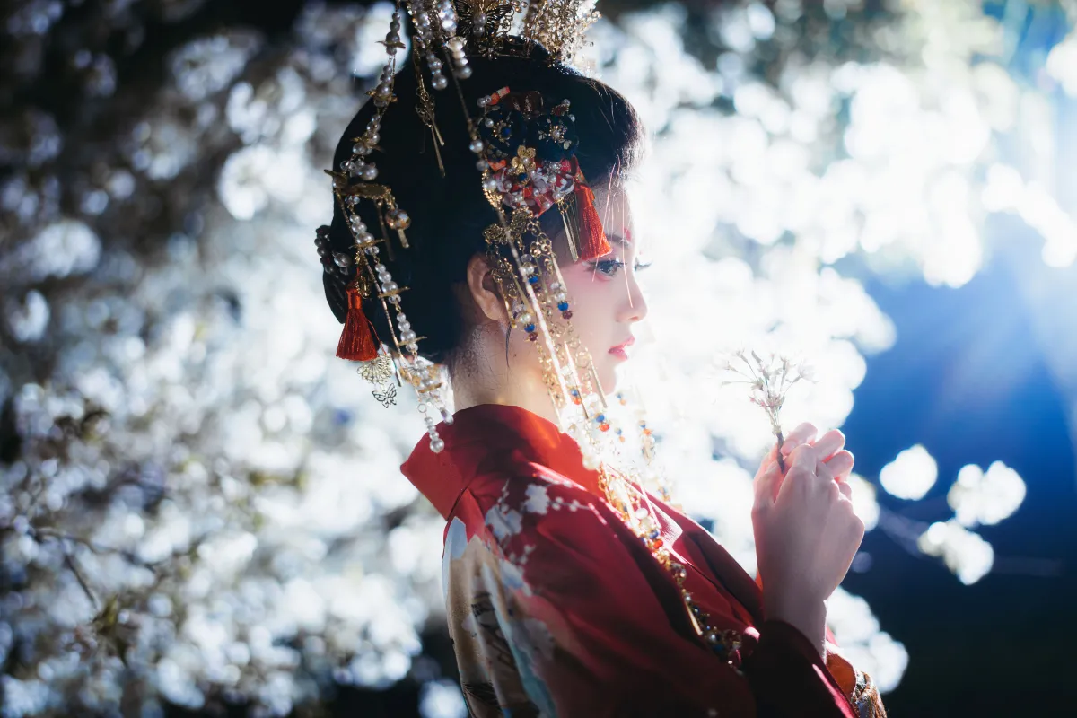 夜樱花魁