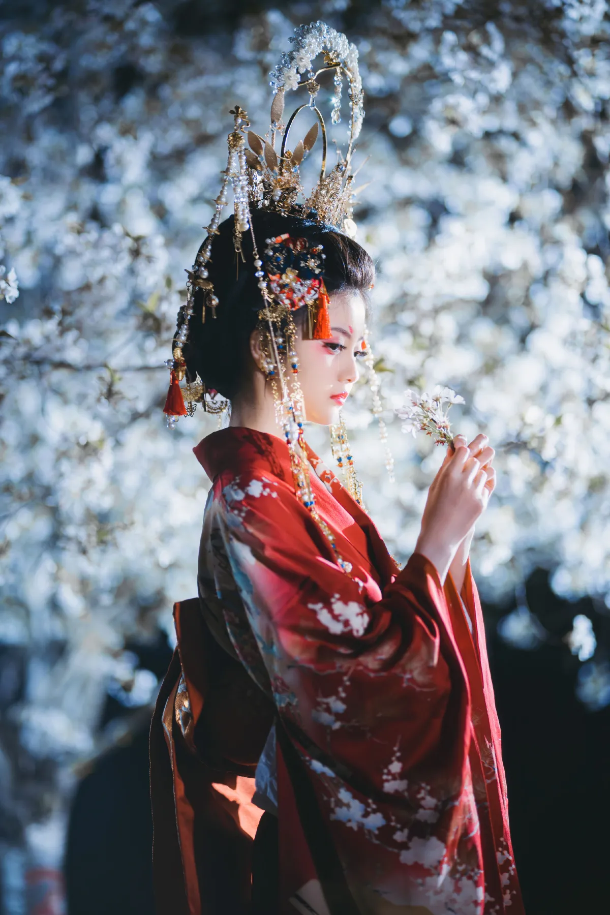 夜樱花魁